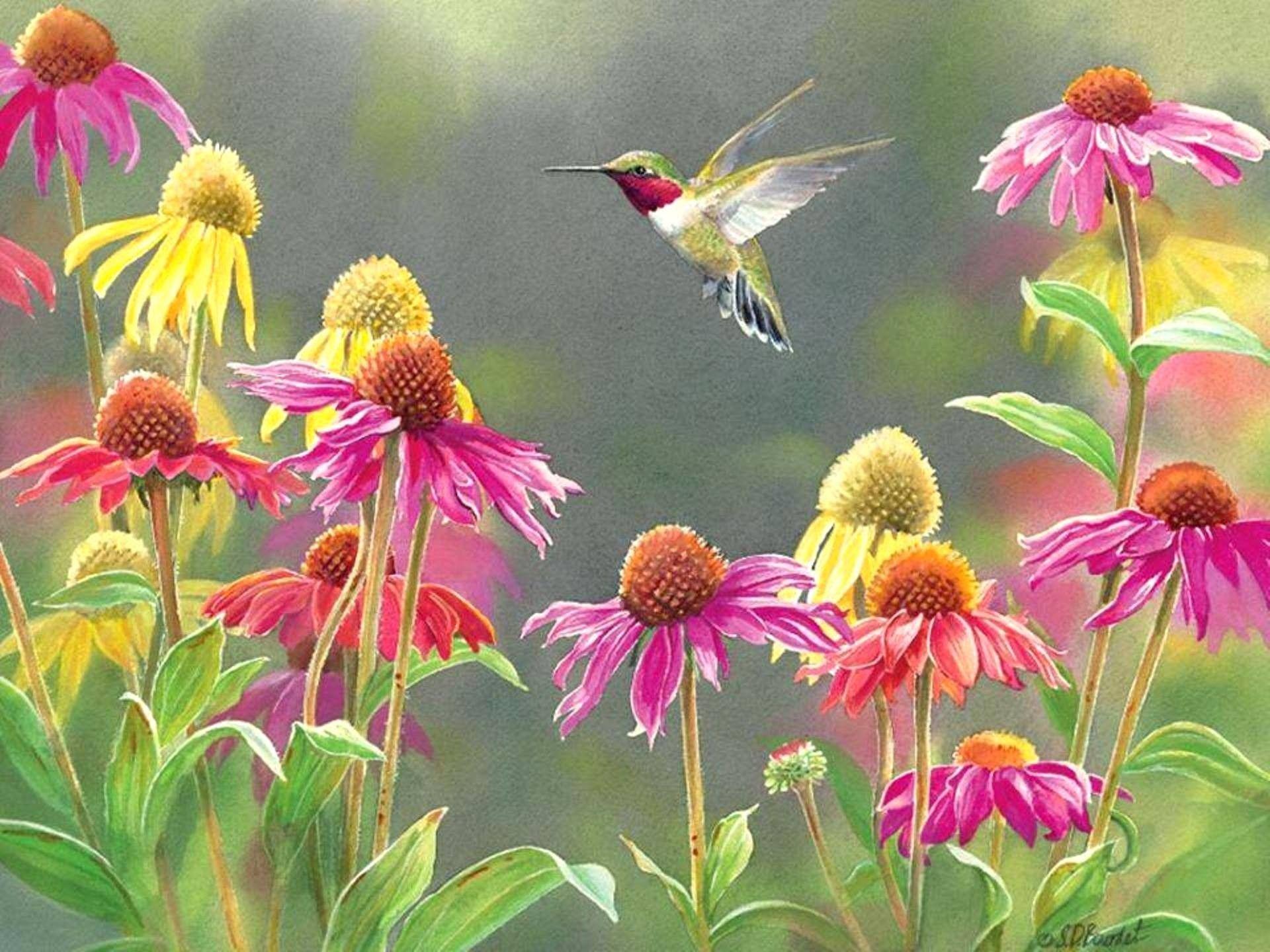 Spring Hummingbird Wallpaper