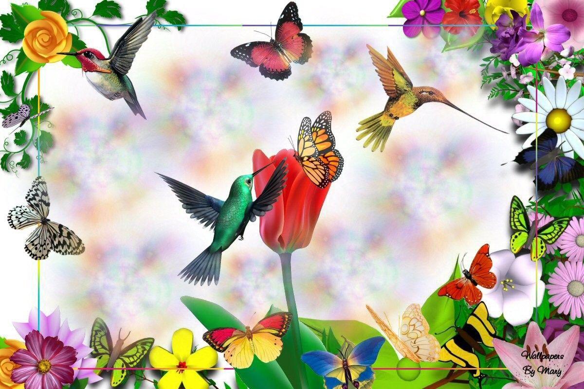 Spring Hummingbird Wallpaper