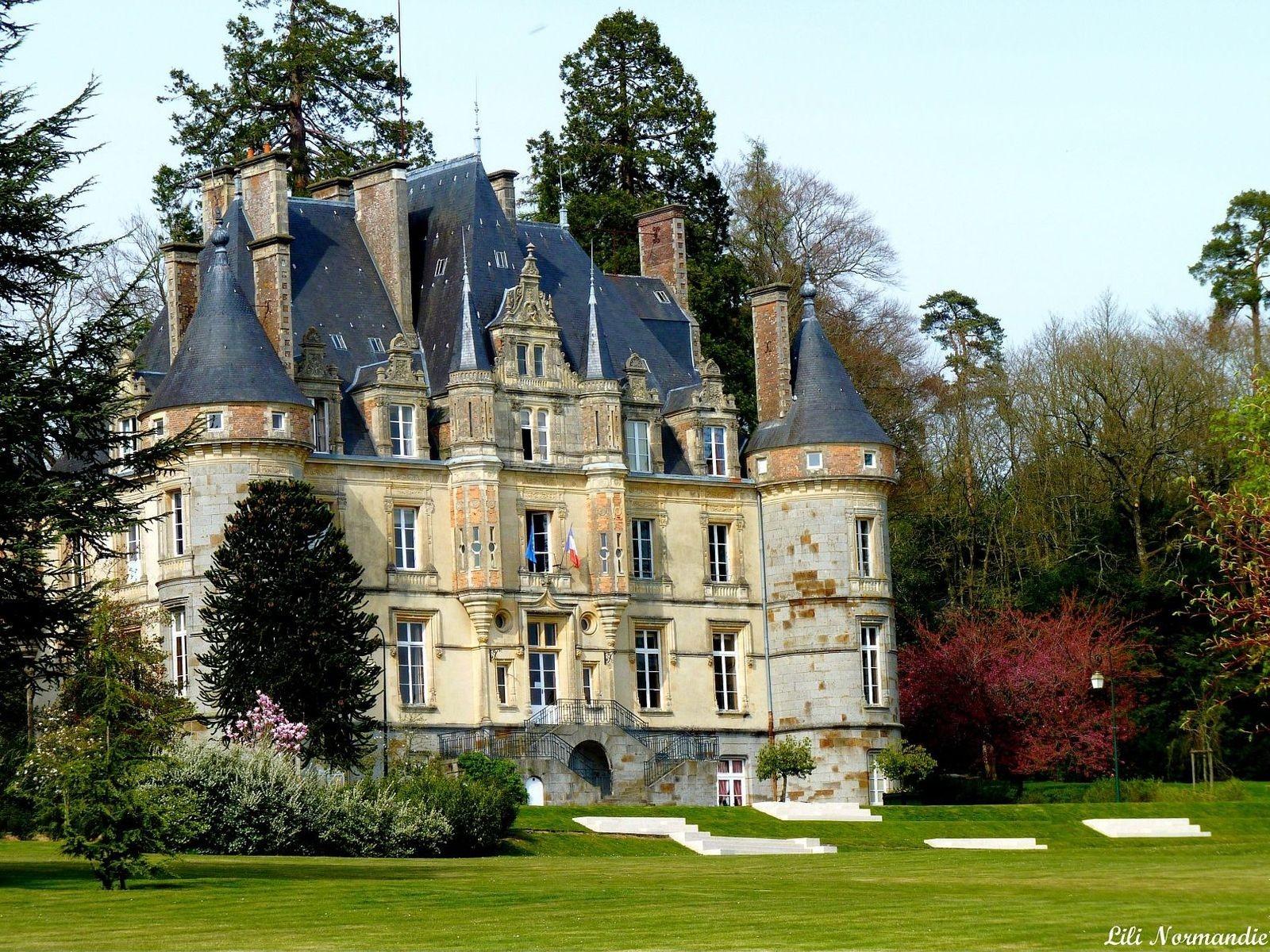 Houses: Vacation Home Fairytale Grass French Castle Dream House Dual