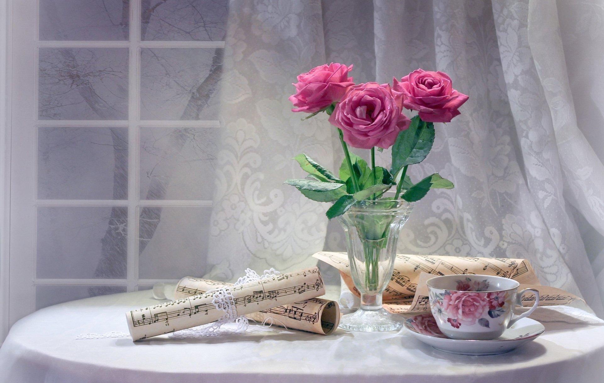 Still Life HD Wallpaper and Background Image