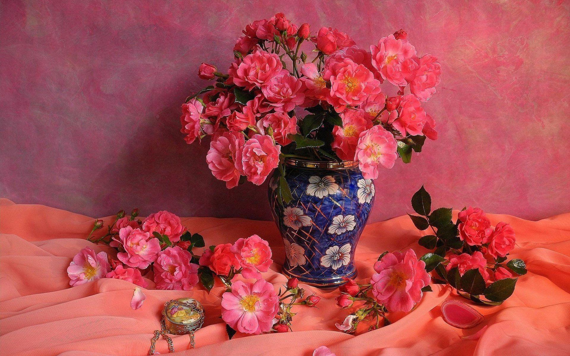 Photography Still Life Flower Rose Pink Rose Pink Flower Vase