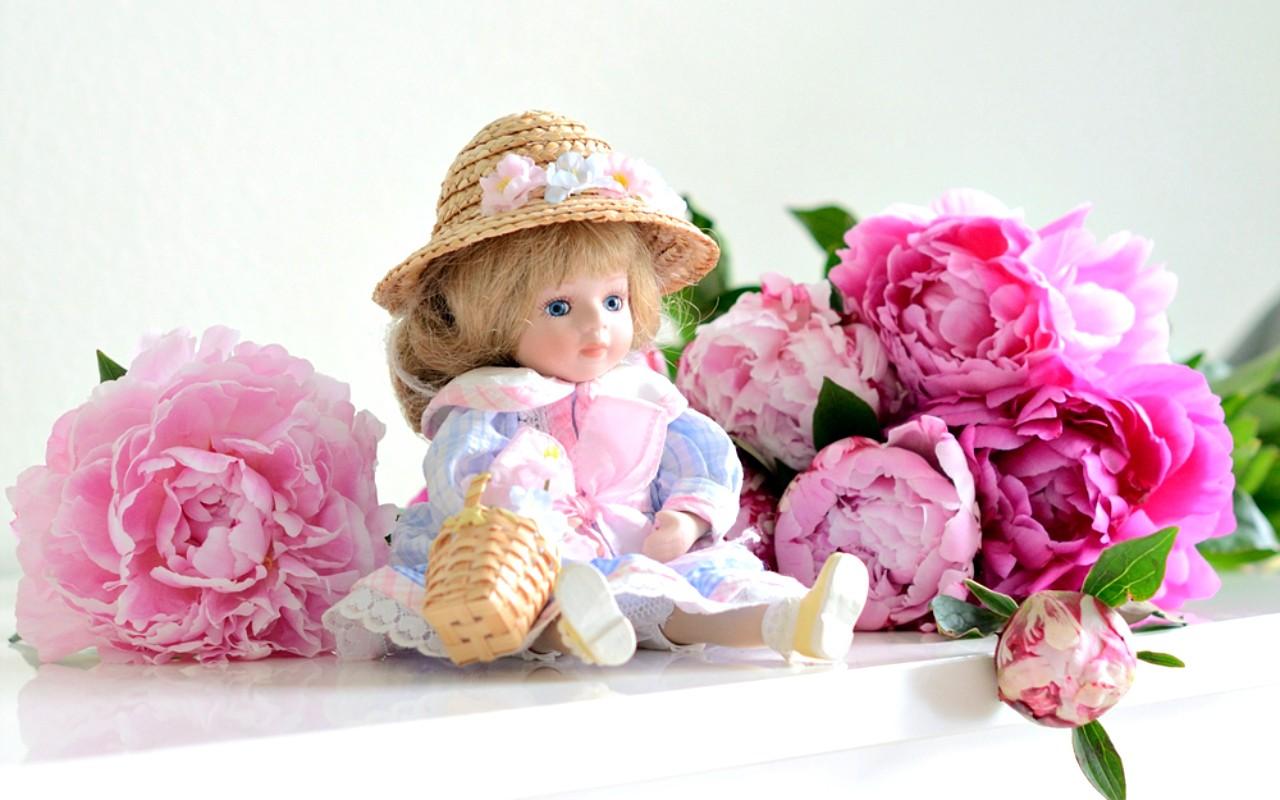 Still Life Flowers Photography Pink Doll Nature Peony