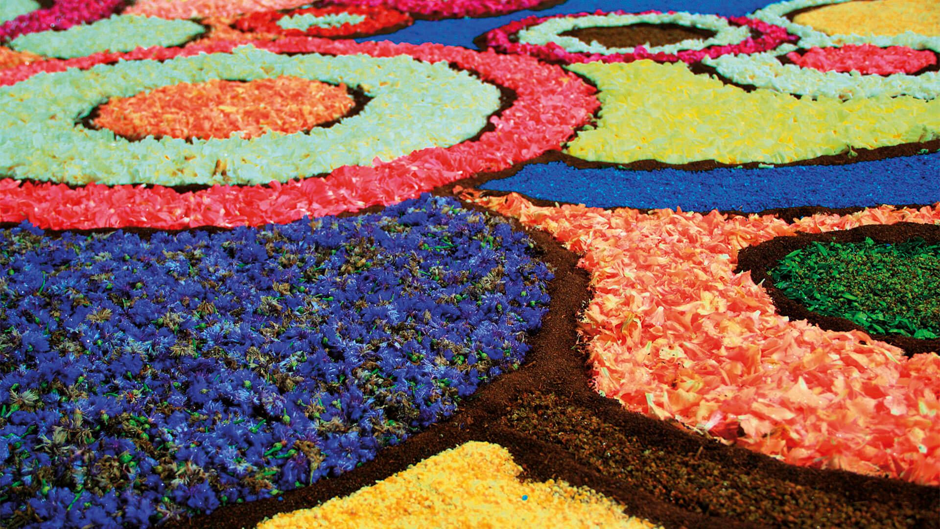 Infiorate: 3 best Flowers Carpets Festivals. Alitalia Discover Italy