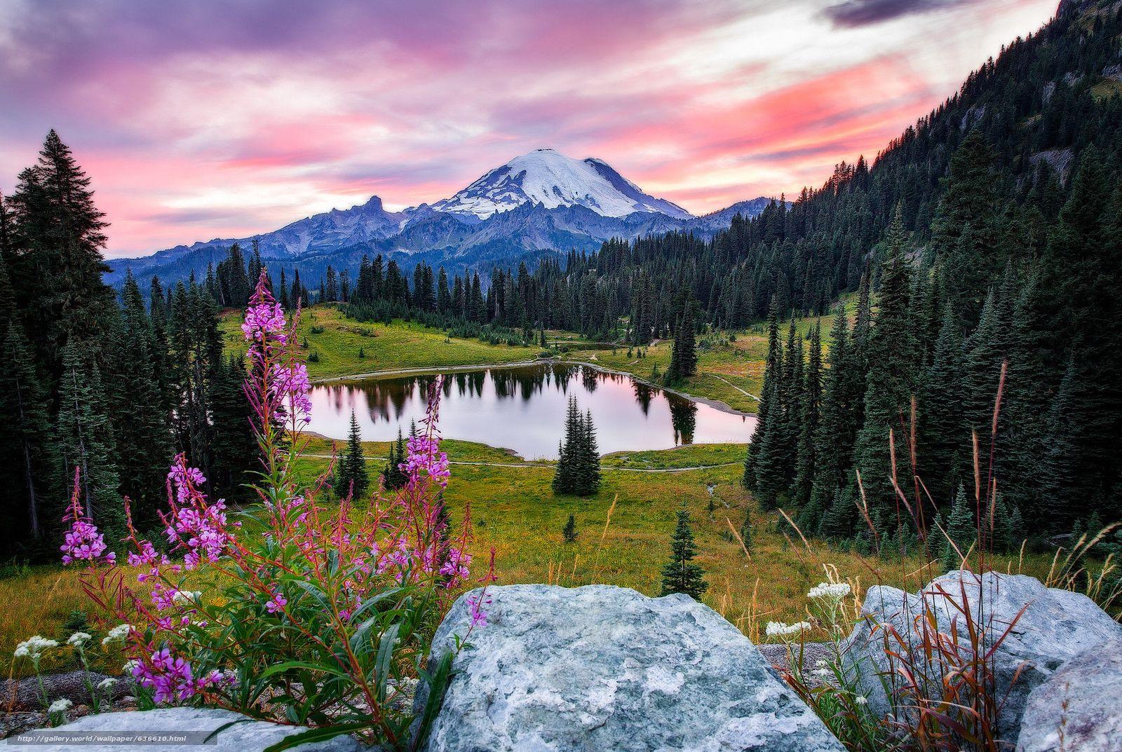 Download wallpaper Mount Rainier National Park, Tipsoo Lake, sunset