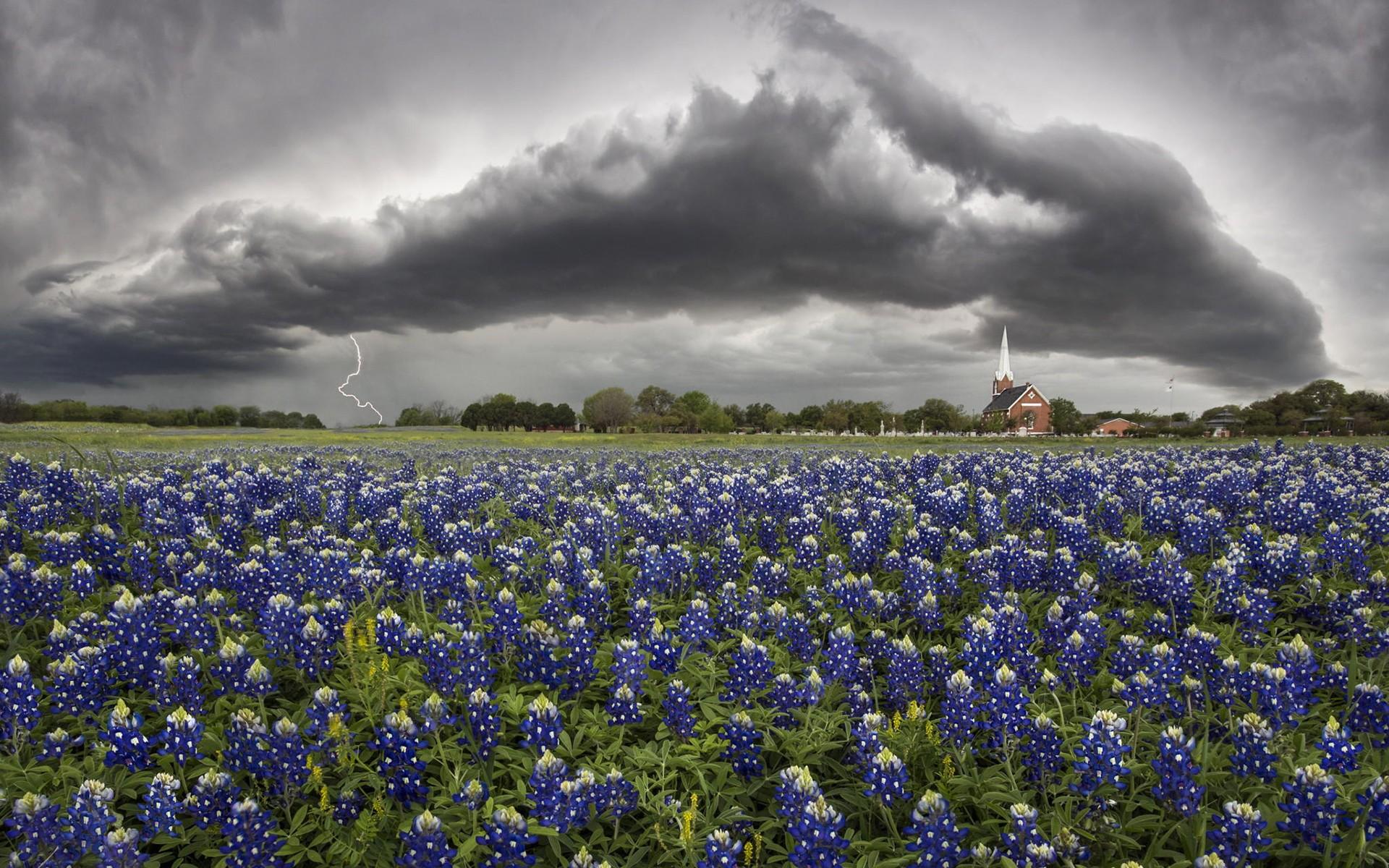500px lightning flowers texas church wallpaper
