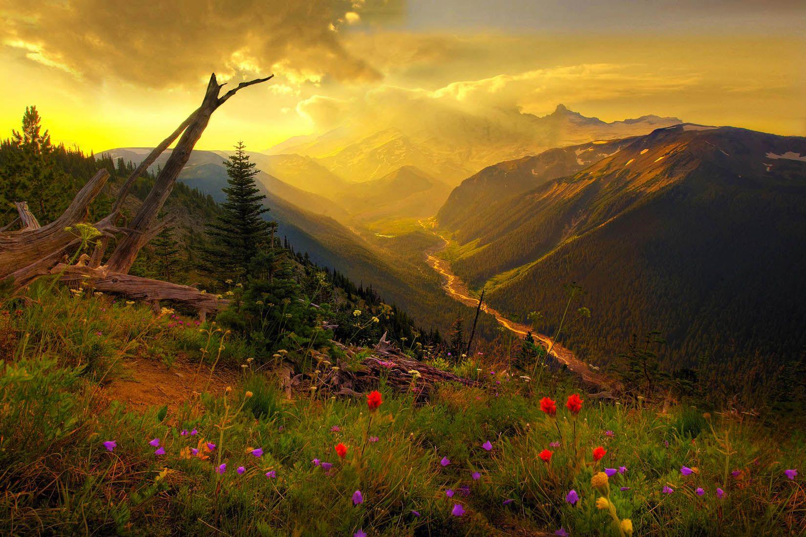 Mt. Rainier Wallpaper. Mount Rainier Wallpaper. National Parks