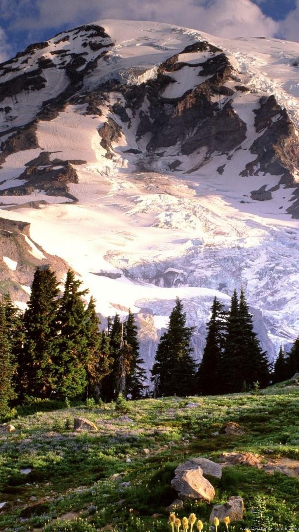 Mount Rainier National Park Galaxy S4 Wallpaper Desktop