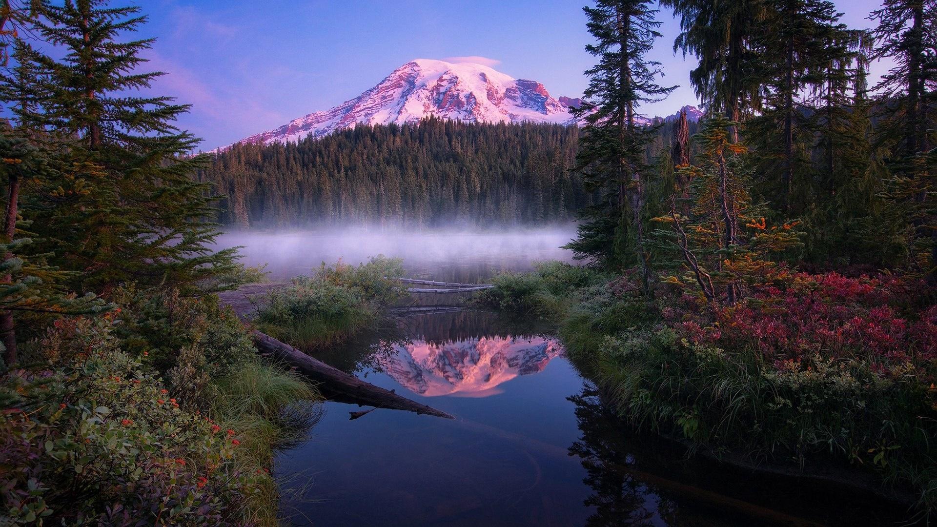 Misty Morning In The Mount Rainier National Park HD Wallpaper