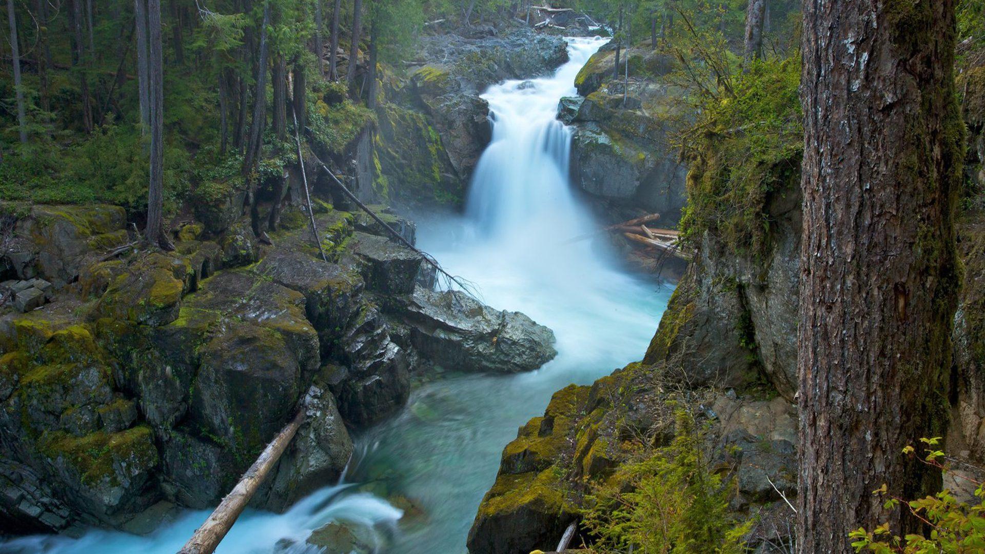 Mount Rainier National Park Usa Silver Falls Ohanpecosh Beautiful