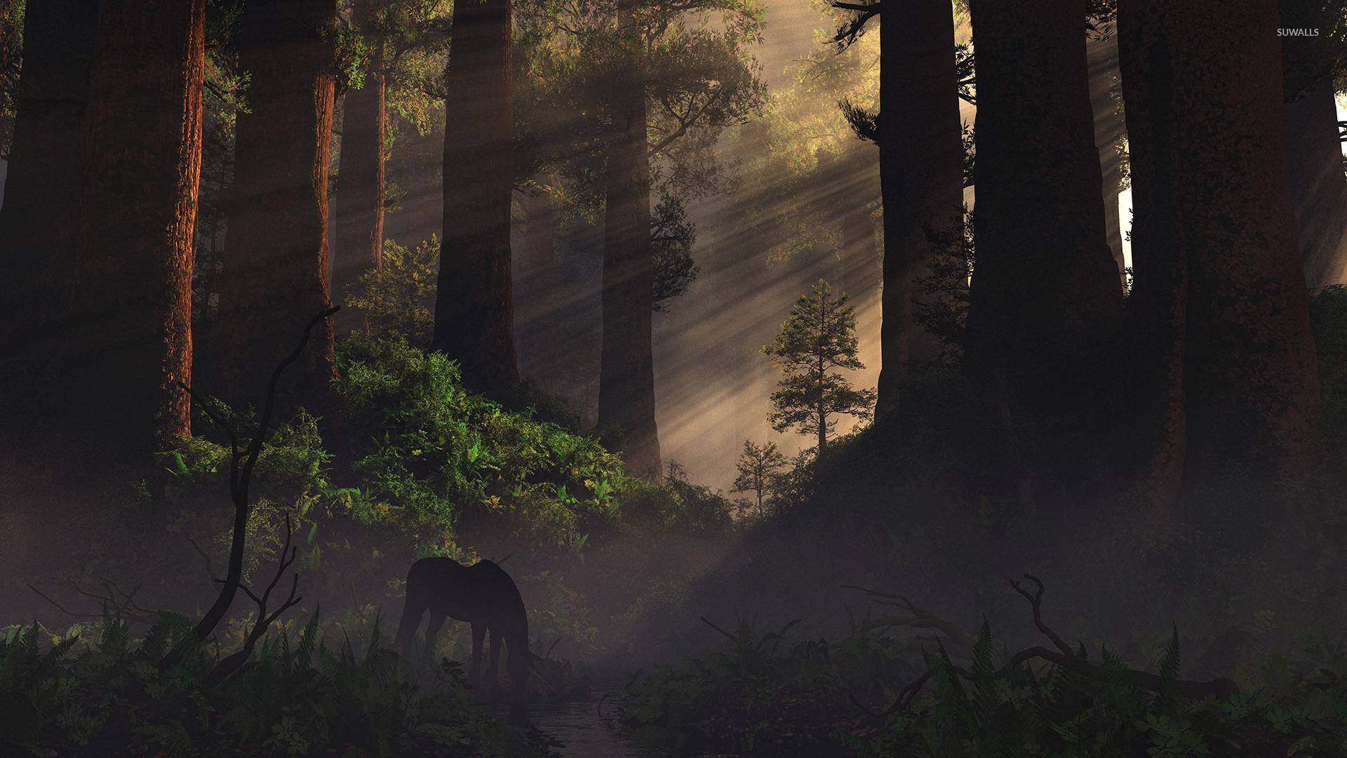 The Forest Wallpaper 1080p #E134PQ4