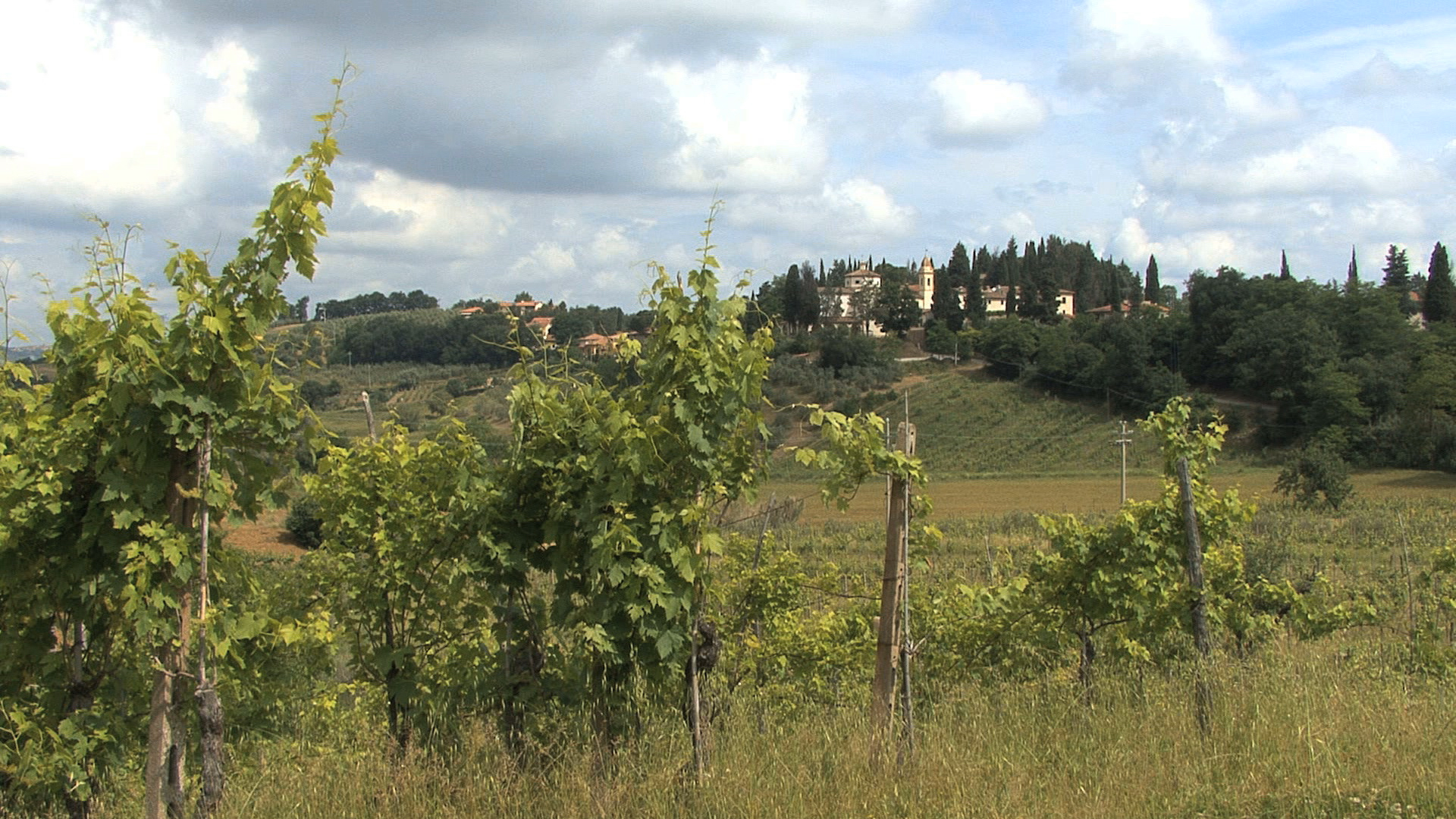 Tuscan Village and Vineyards Free & Royalty