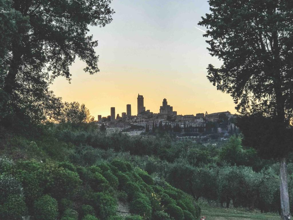 A Tuscan Winery Experience at an Affordable Price Up Close