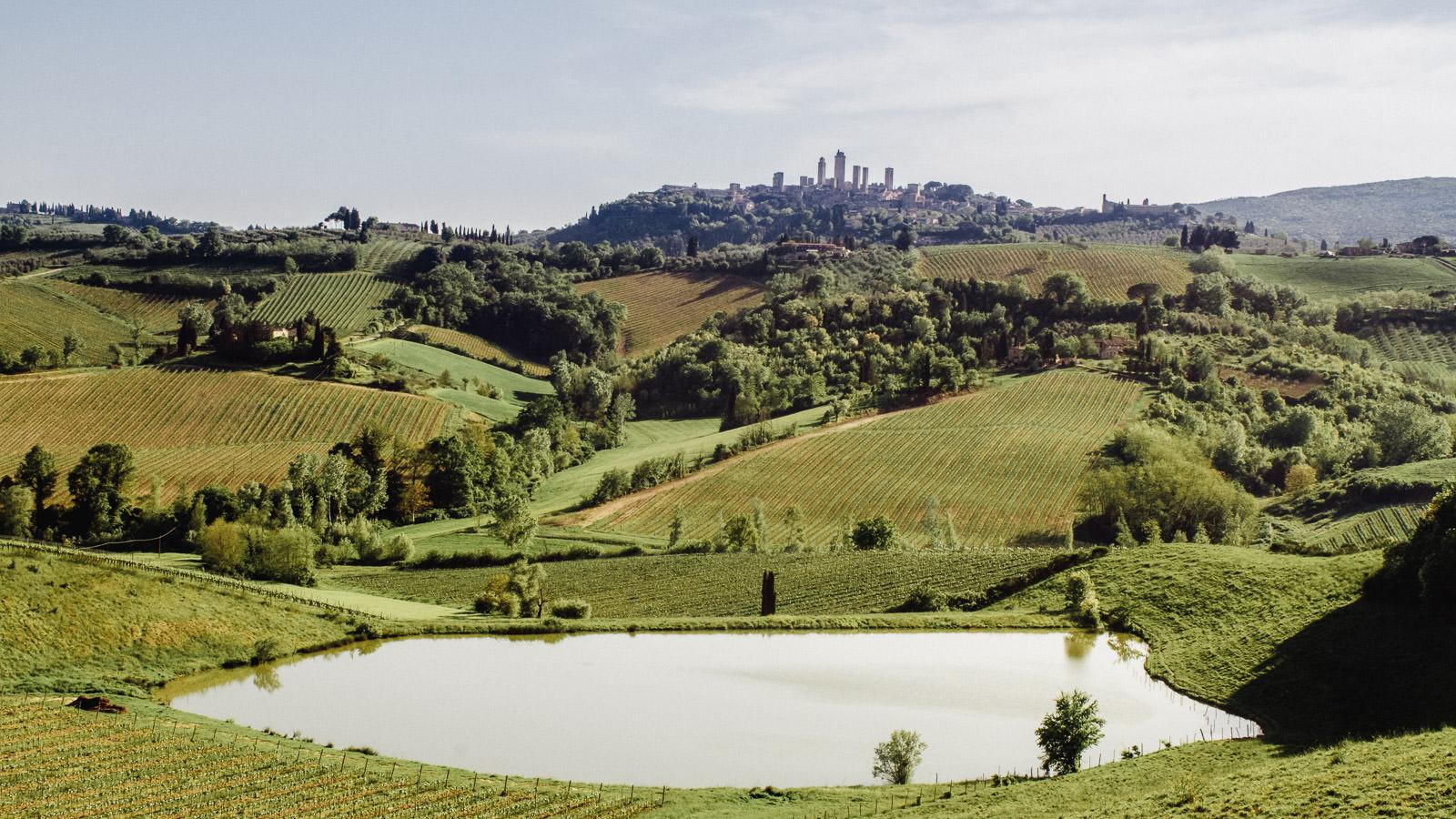 Tuscany Tours From Florence: Chianti & Siena