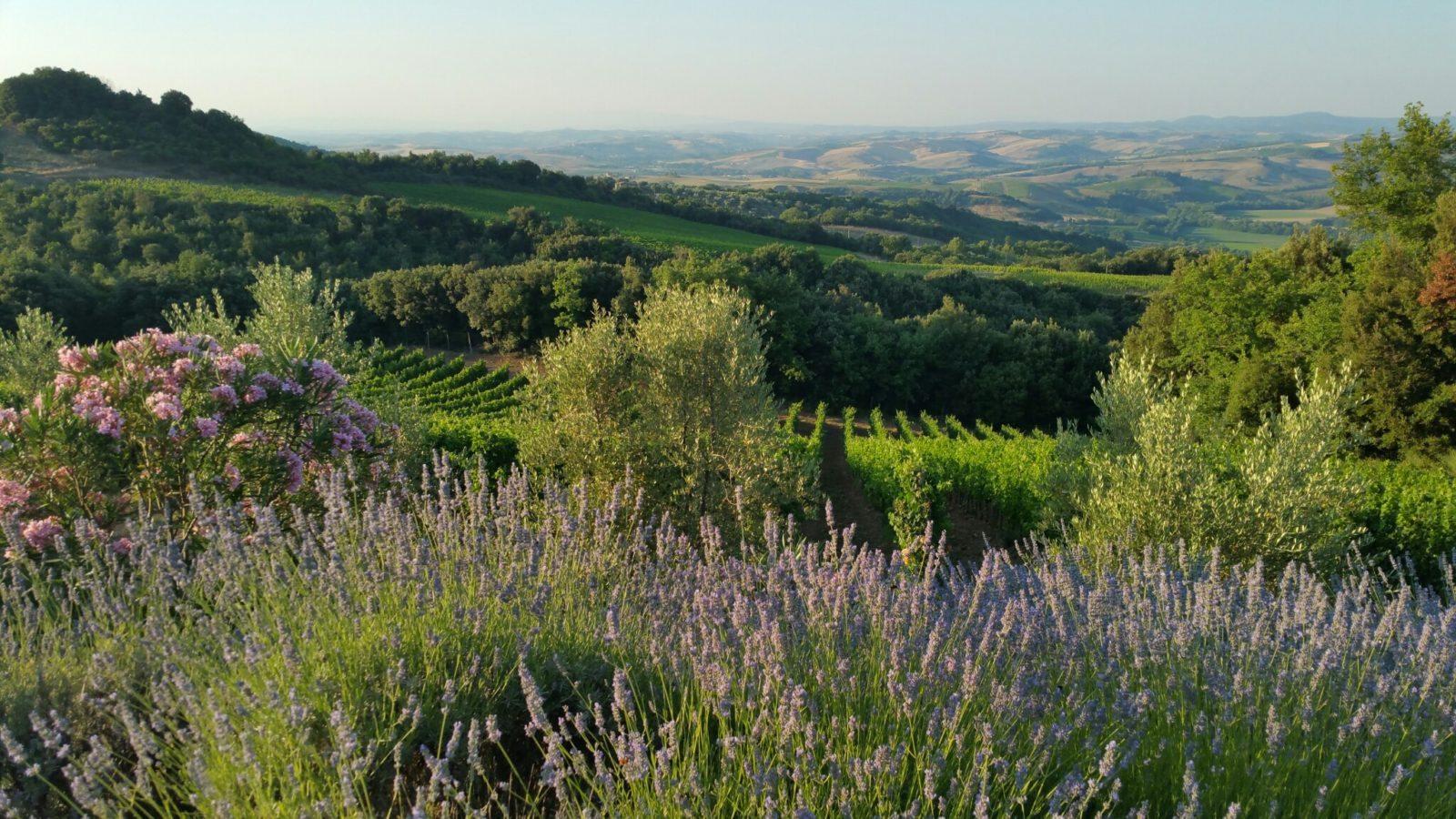 It's NOT Always All About Florence Culture of Tuscany