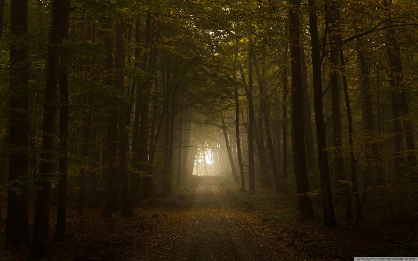 Path ❤ 4K HD Desktop Wallpaper for 4K Ultra HD TV • Tablet