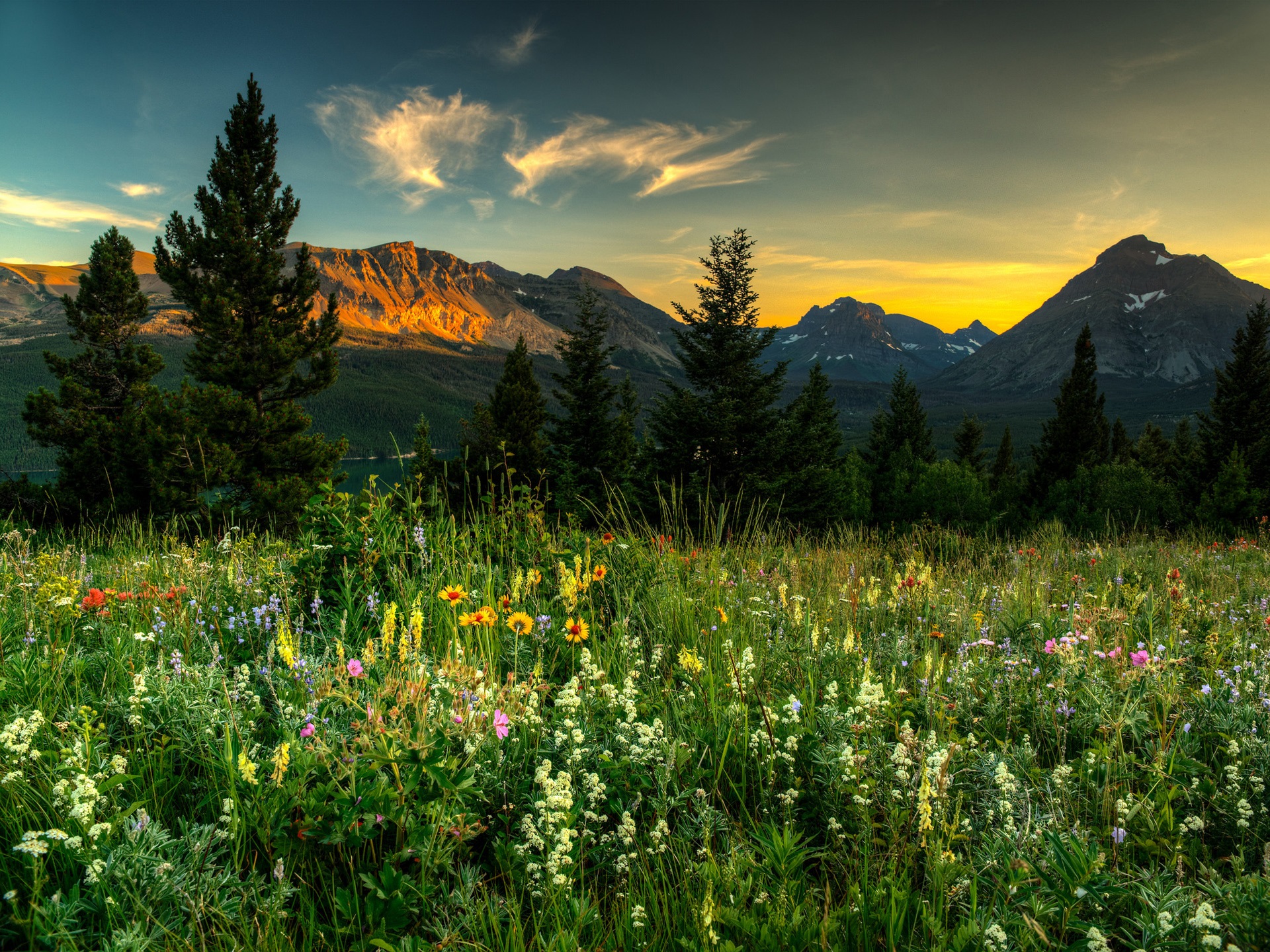 Wallpaper Nature landscape, mountains, wildflowers, trees, dawn