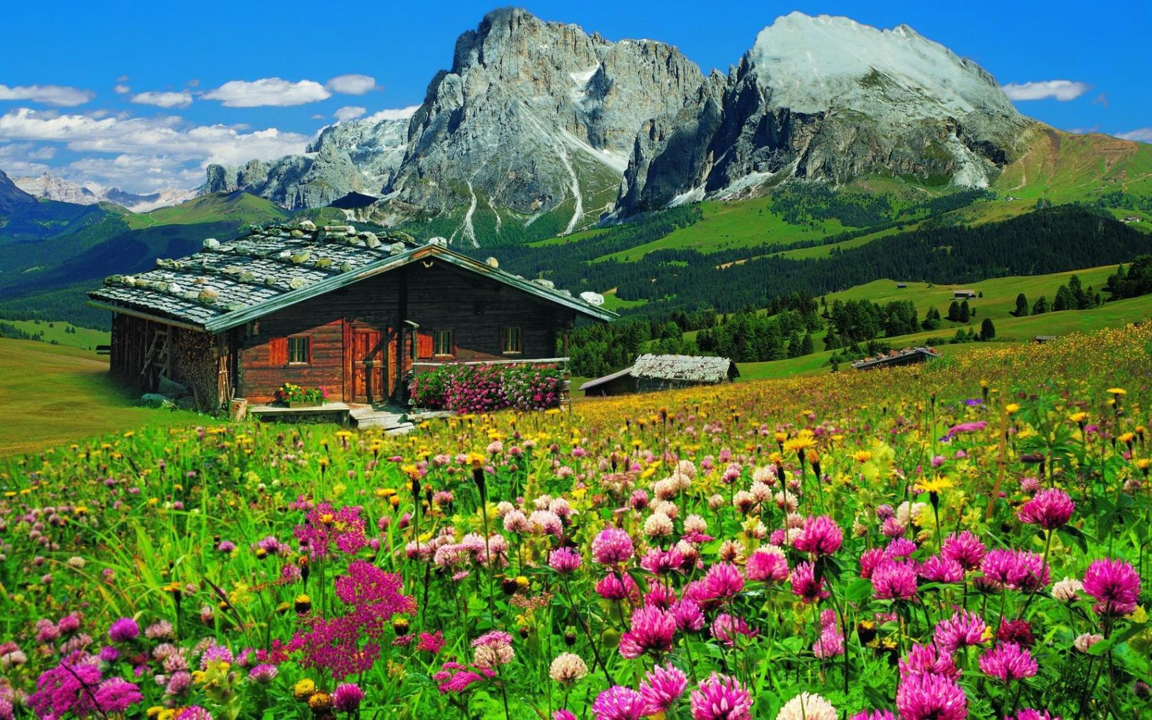 House and Wildflowers in the Mountains Wallpaper and Background