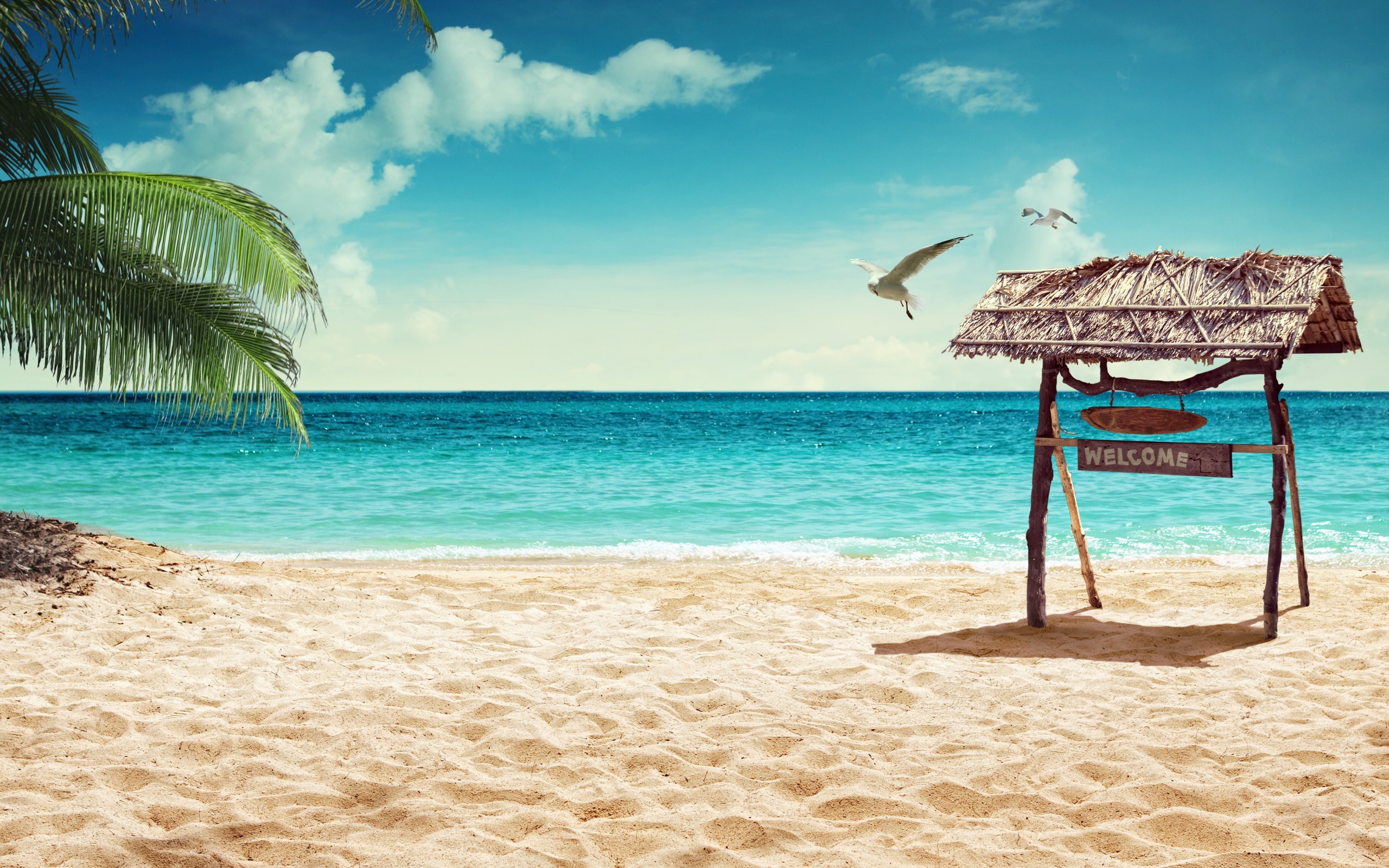Download wallpaper tropical island, beach, summer vacation, pales