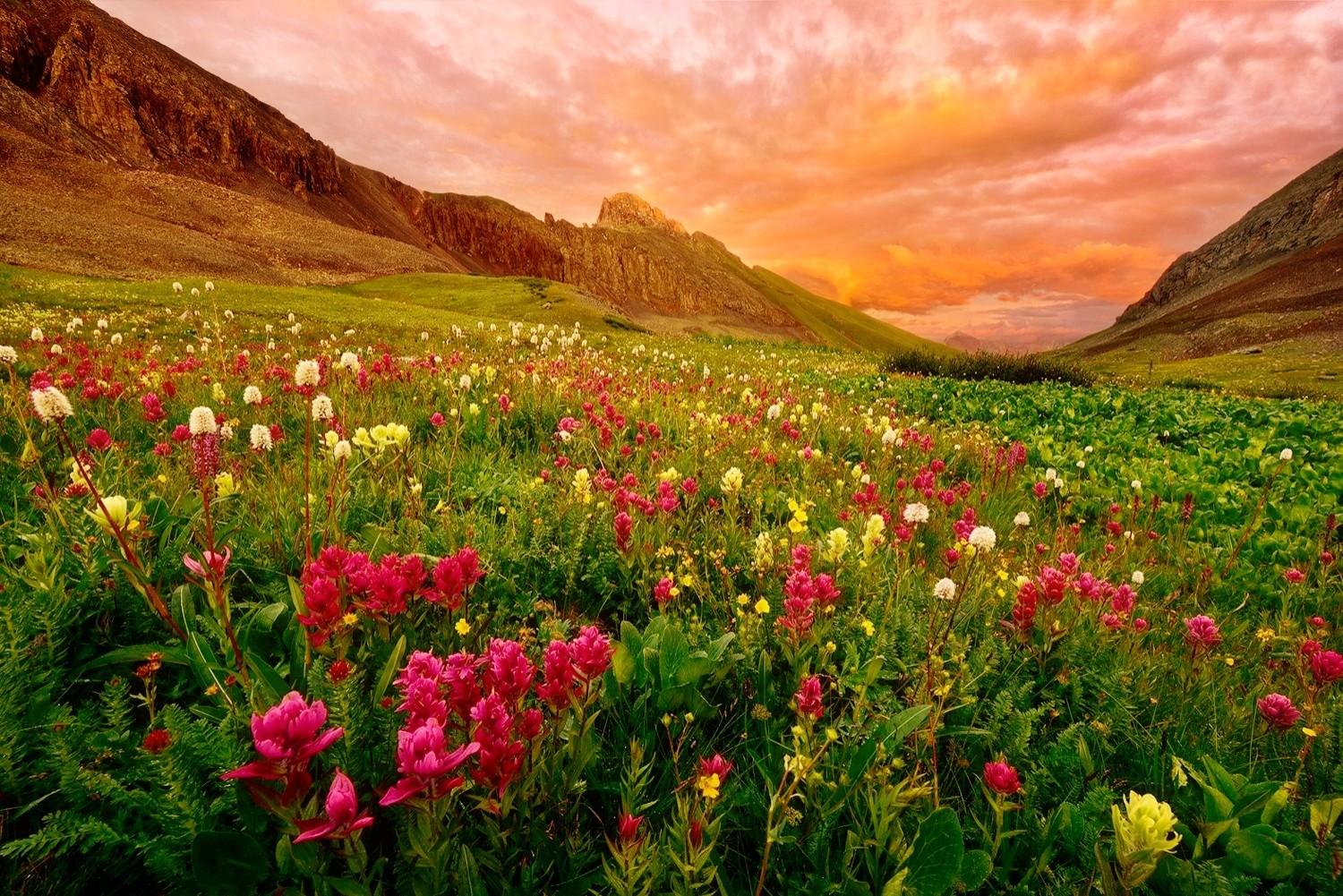Mountains: Beautiful Mountain Wildflowers Slope Sky Hills Wallpaper