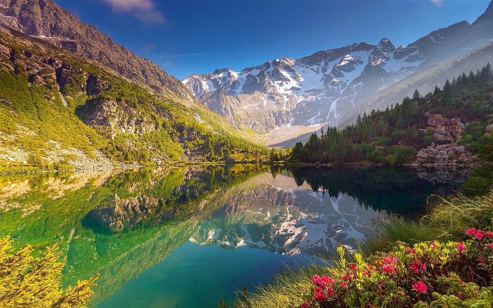 nature, Landscape, Lake, Wildflowers, Mountain, Reflection, Forest
