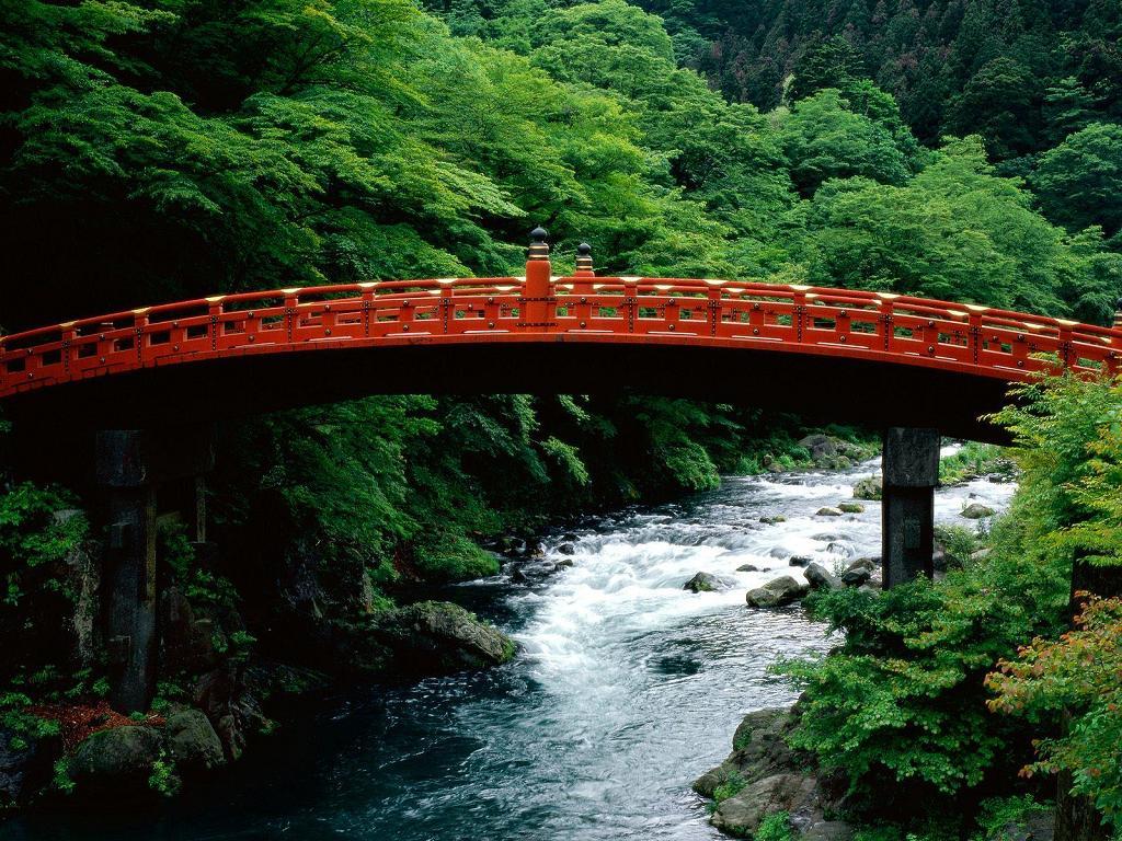 The Sacred Bridge
