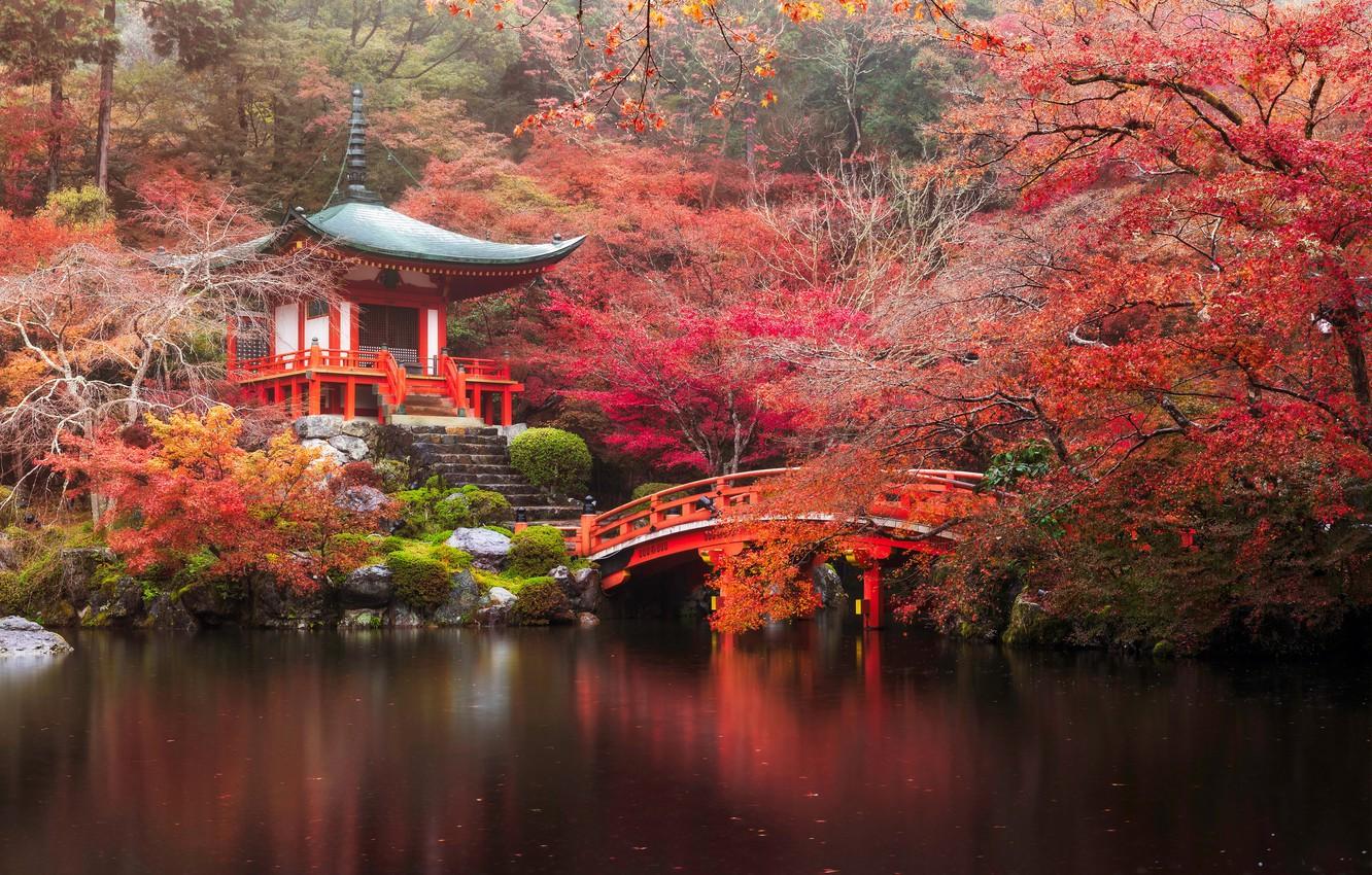 Wallpaper autumn, forest, bridge, river, Japan, temple, Japan