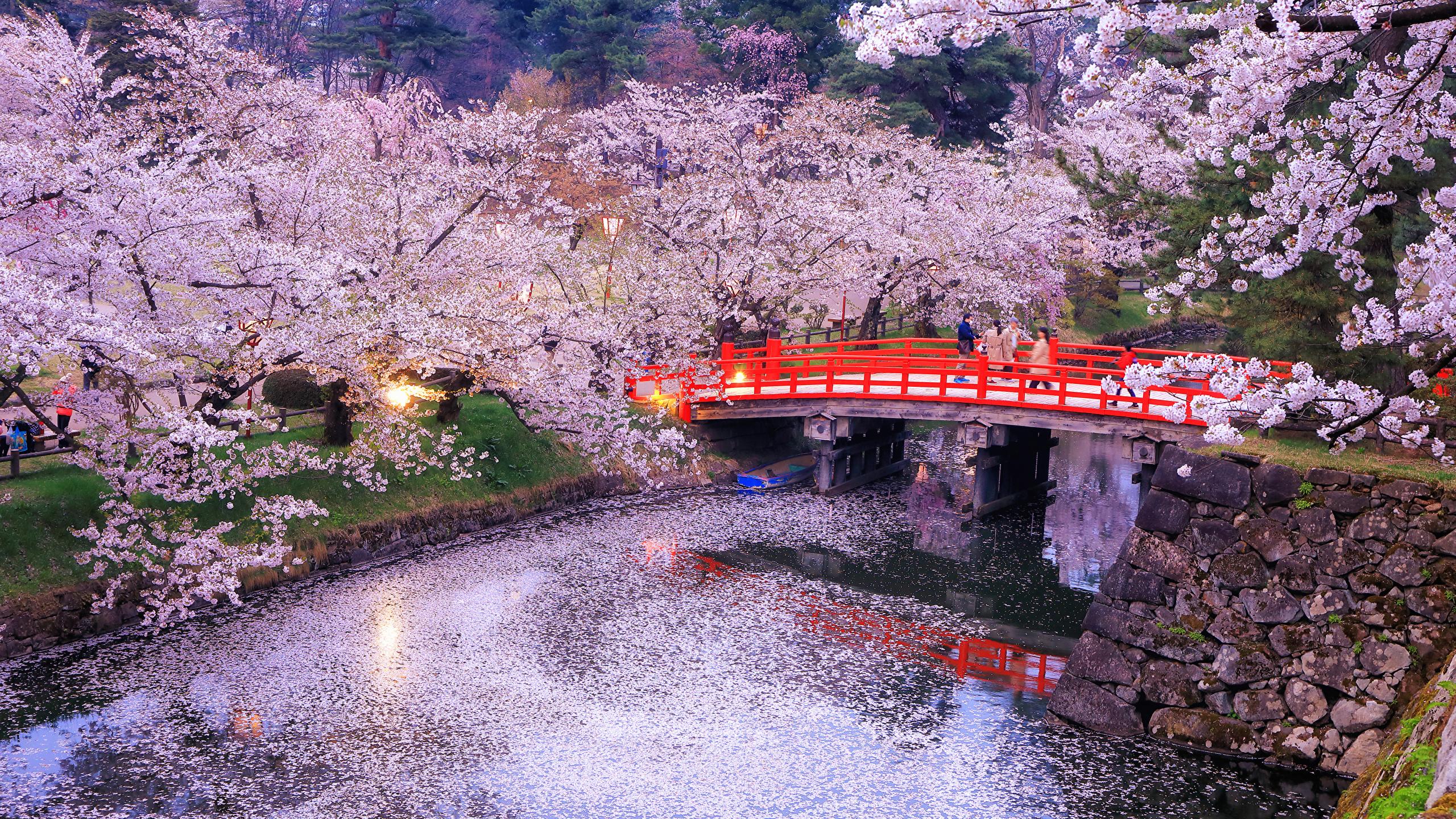Photos Tokyo Japan Nature Bridges park river Evening 2560x1440