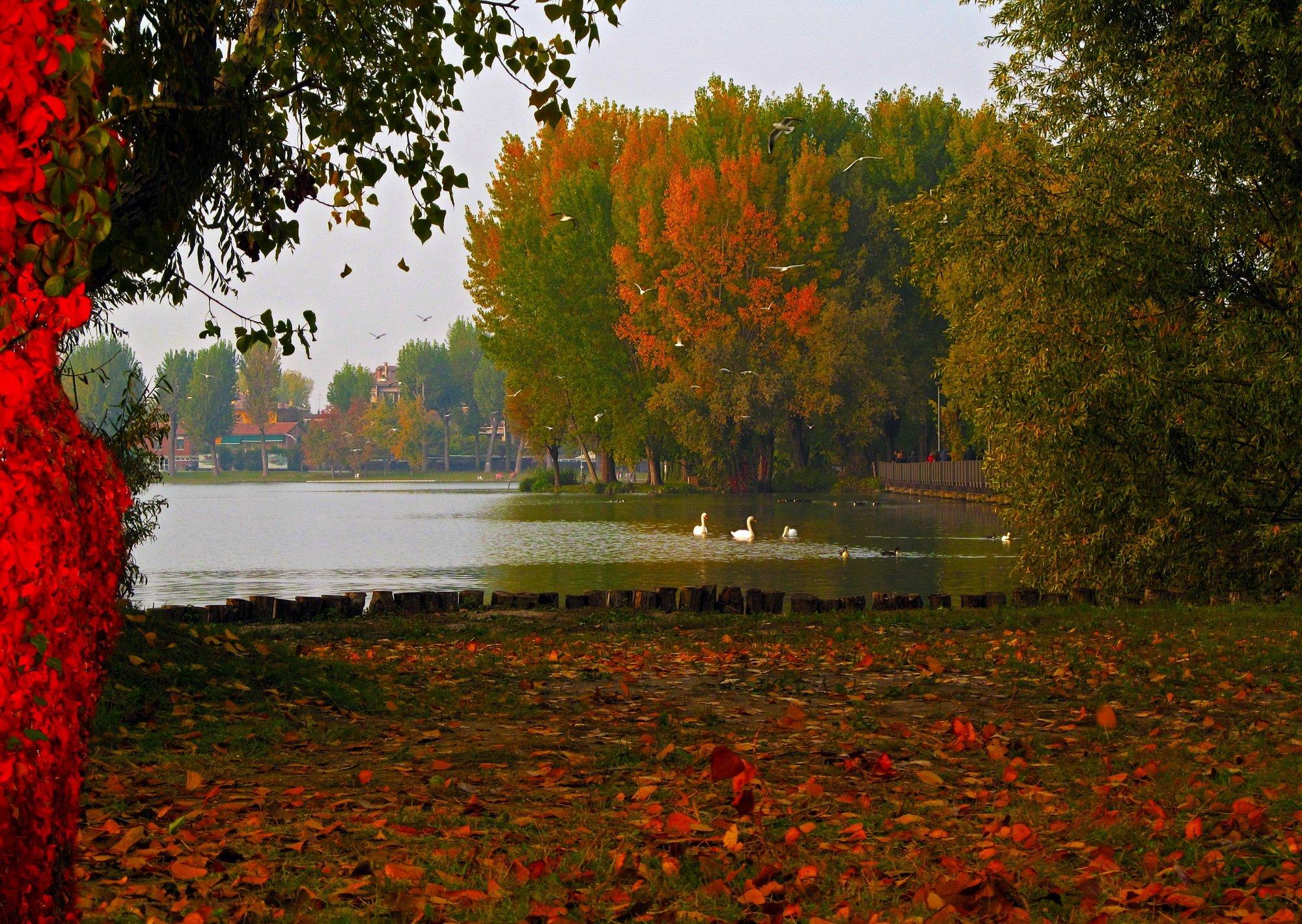 Background Image, Lombardy, Mantua, Autumn, Cool, Nature, Smart