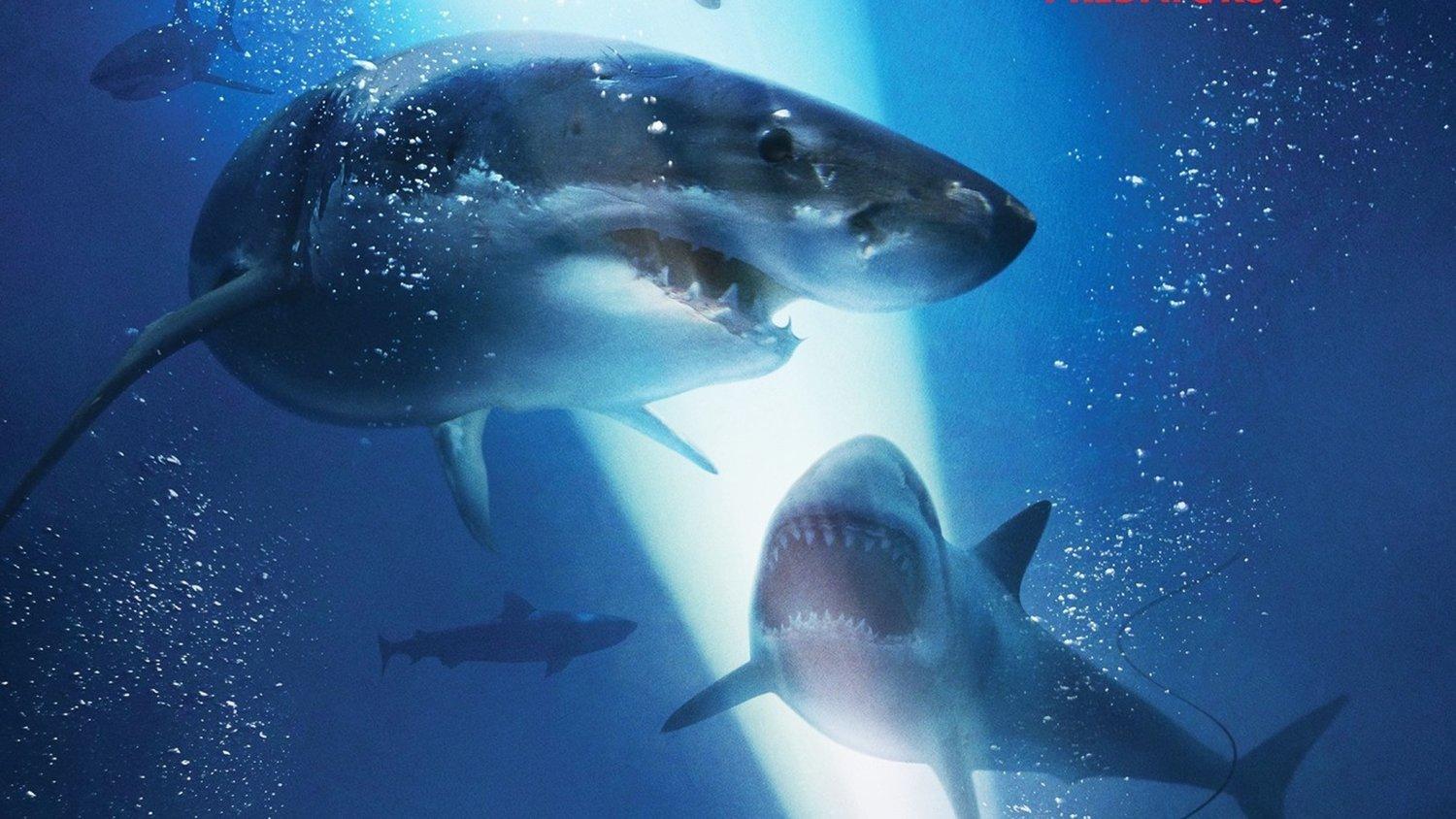 New for the Claustrophobic Shark Attack Thriller 47 METERS