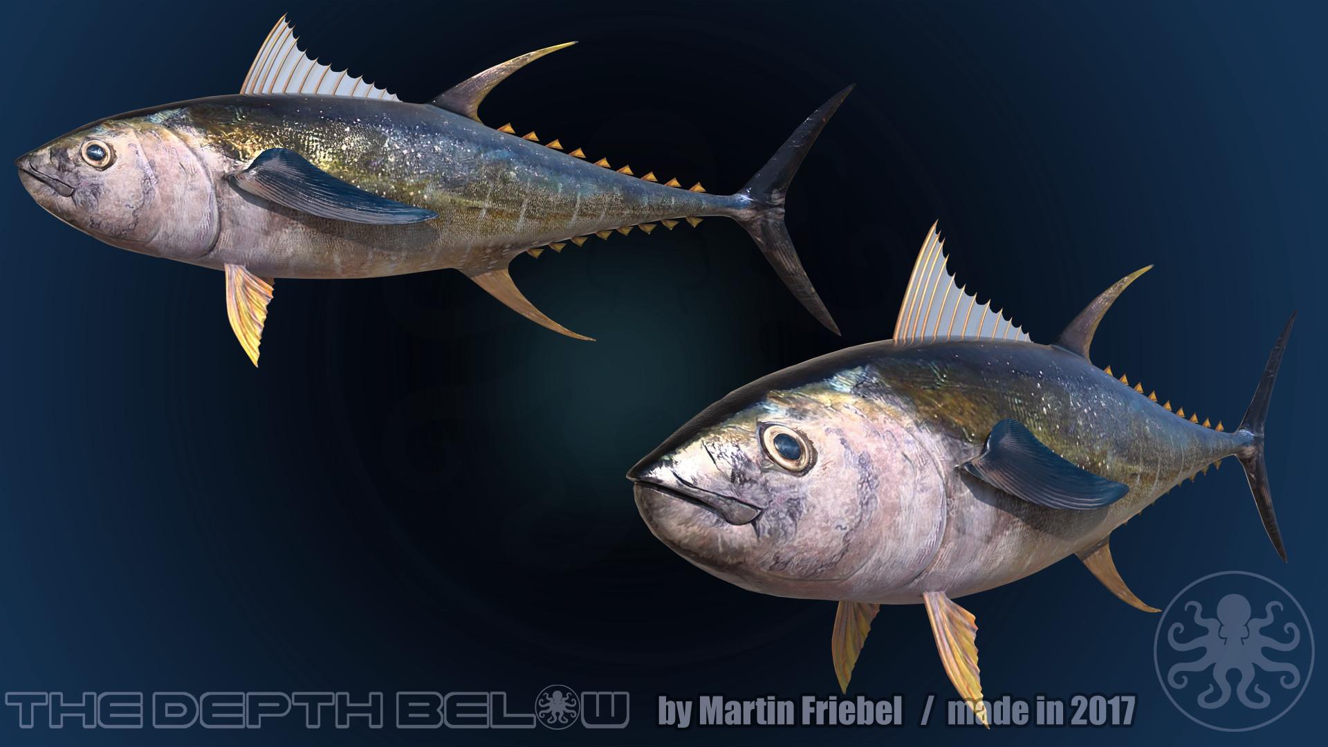 Yellowfin Tuna Depth Below, Martin Friebel