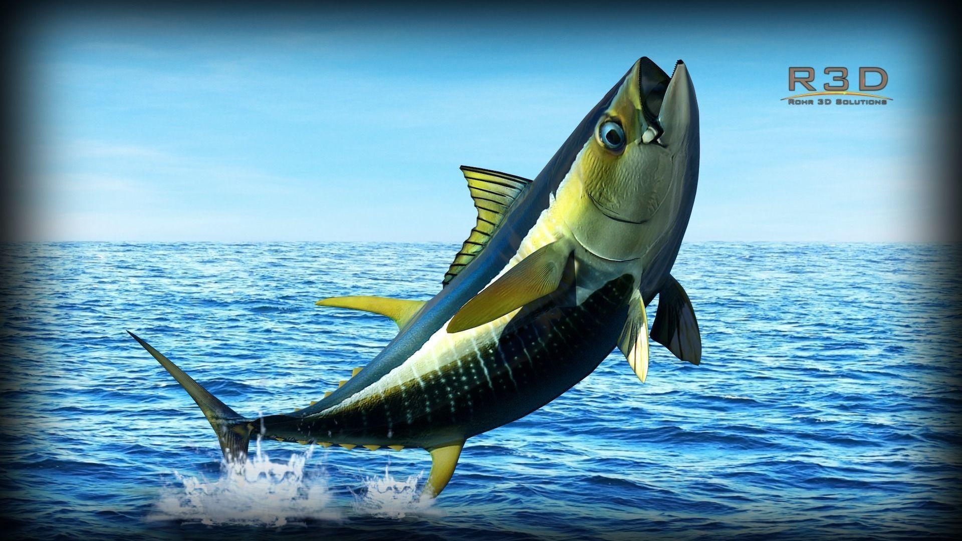 Yellowfin Tuna FishD model