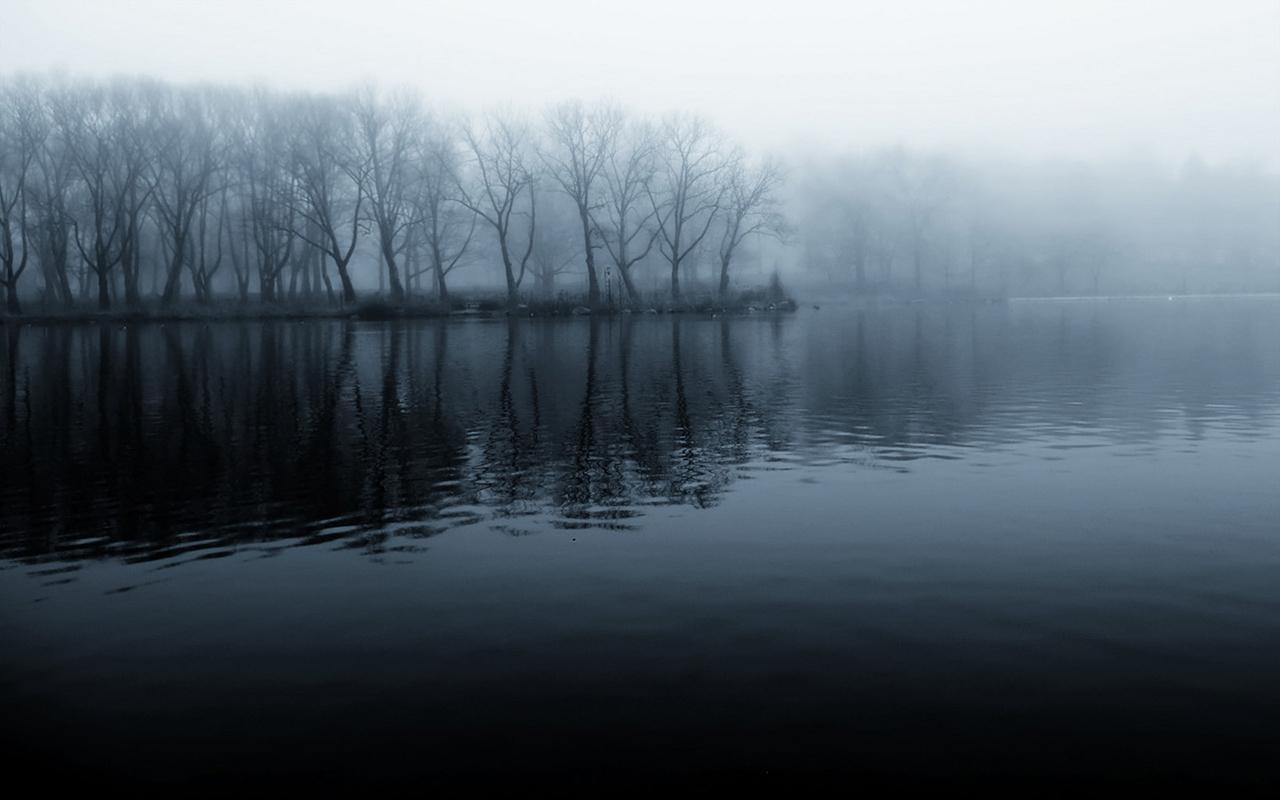 Foggy Lake And Forest Wallpaperx800