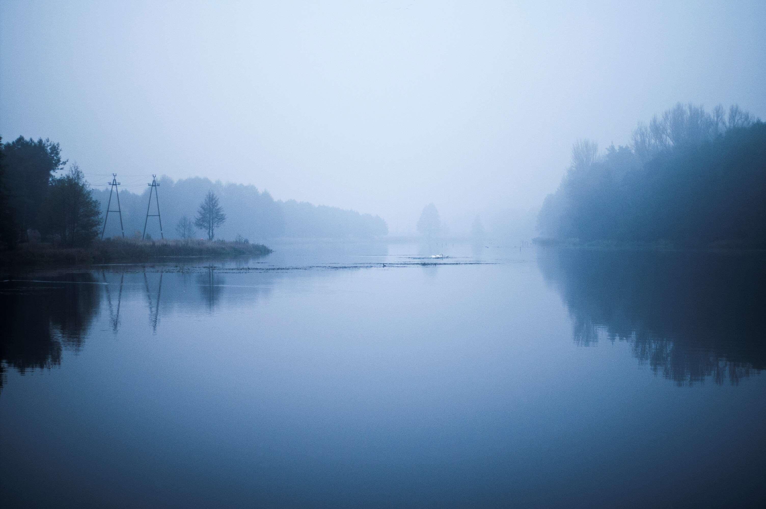 blue, fog, foggy, forest, lake, river, riverside, water