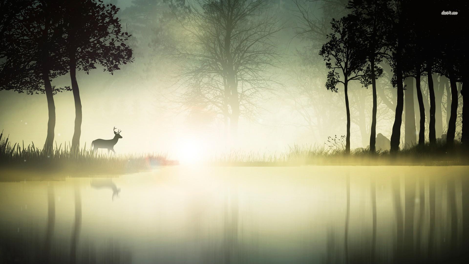 Deer at the foggy lake wallpaper wallpaper