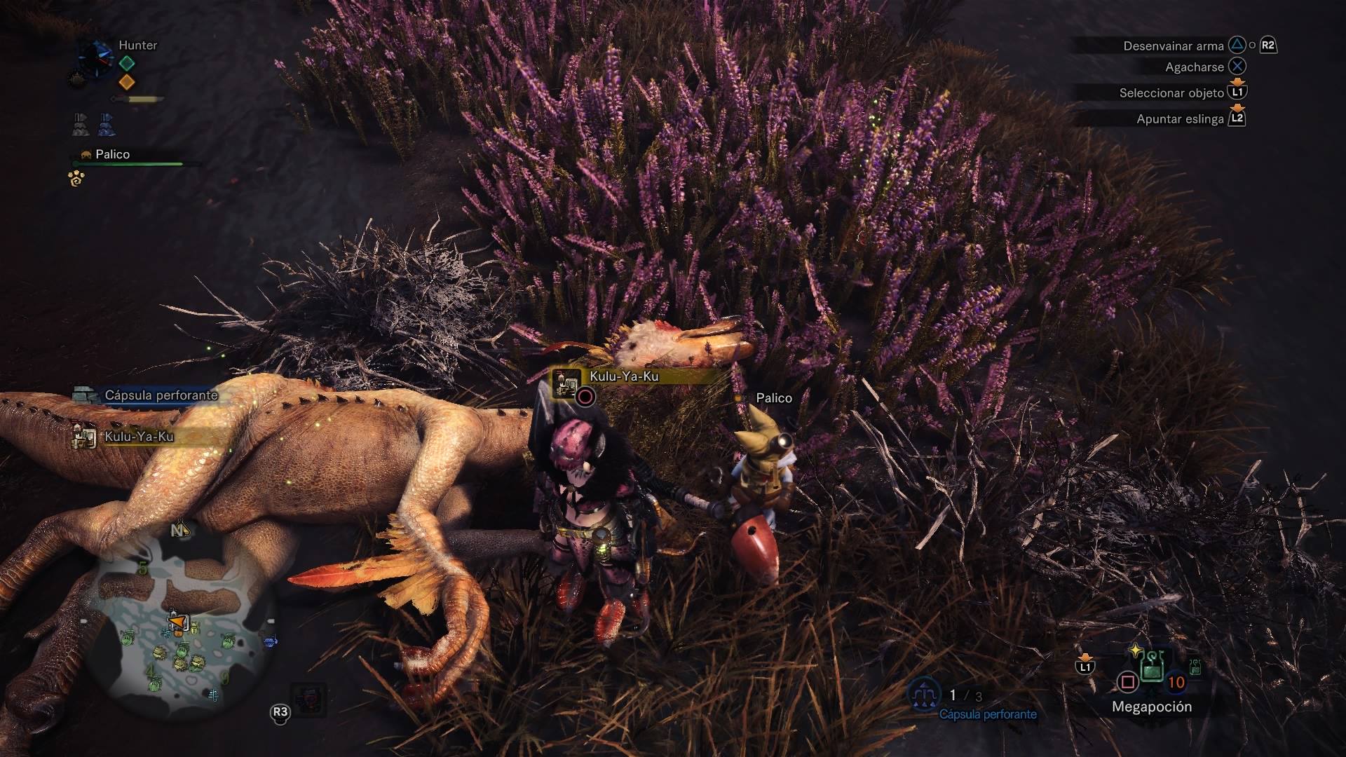 Found kulu Ya ku in Beta