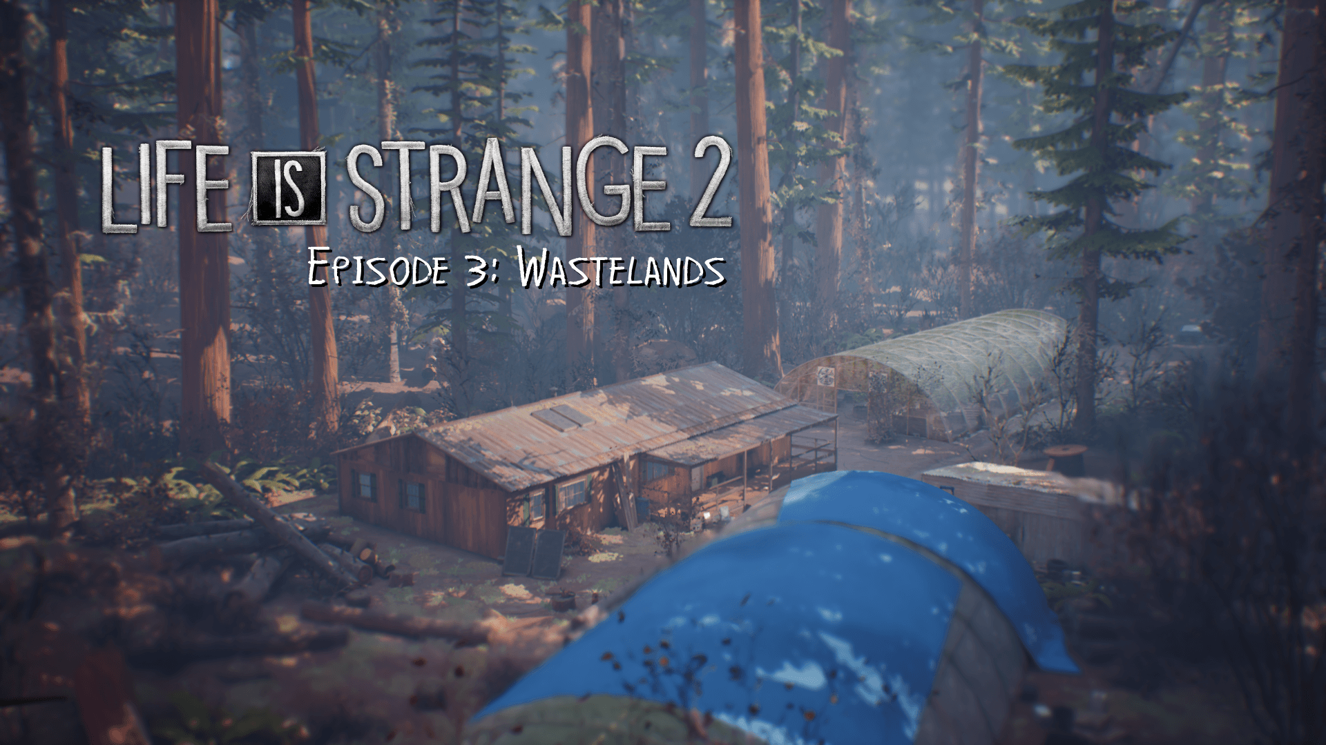 Episode 3: Wastelands. Life is Strange
