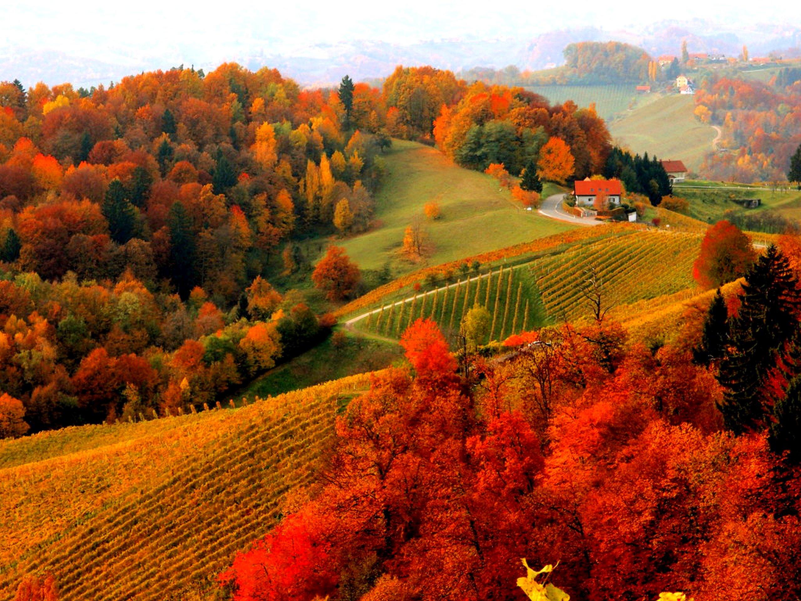 Mountain Village in Autumn HD Wallpaper. Background Image