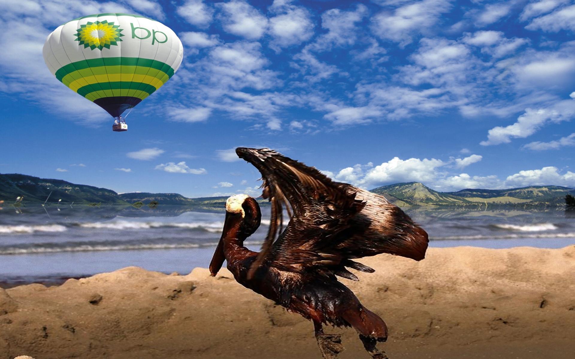 Download the bp Oil Pelican Wallpaper, bp Oil Pelican iPhone
