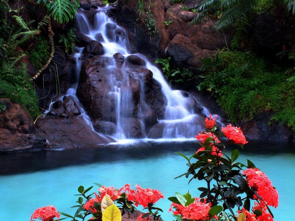 Beautiful Waterfall Nature Wallpaper 1920x1080 56512 - Baltana