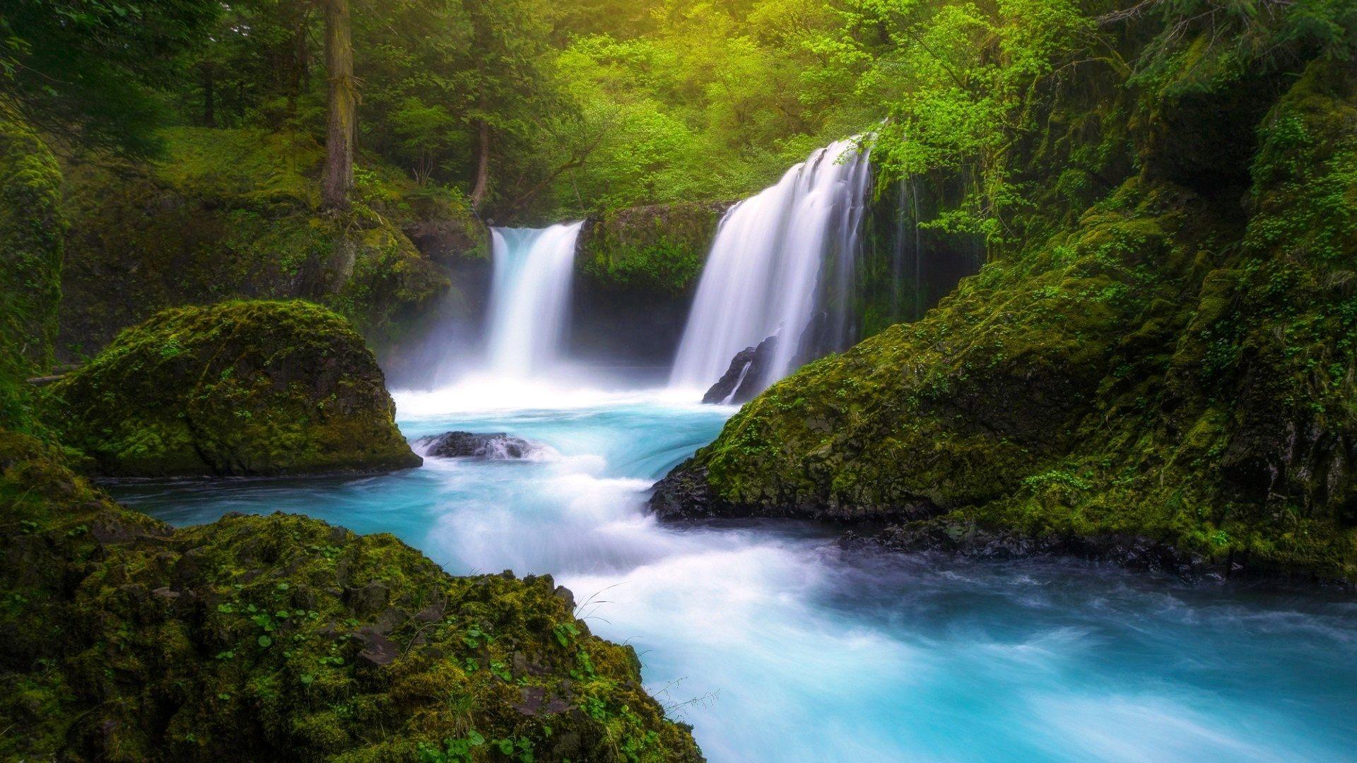 Green Forest Waterfall HD Wallpaper. Background Imagex1080