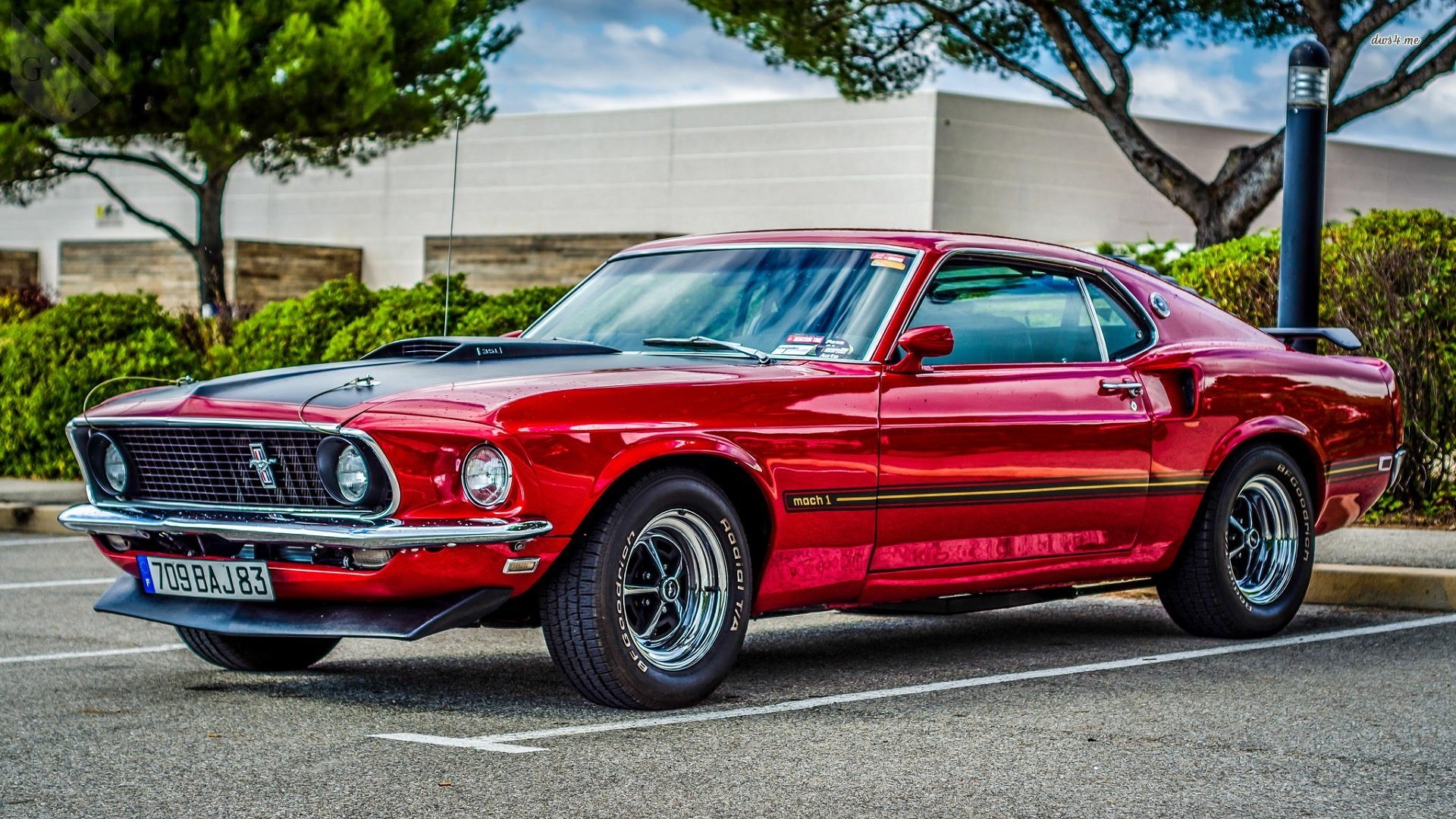 Ford Mustang Mach 1 HD Wallpaper. Background Imagex1080