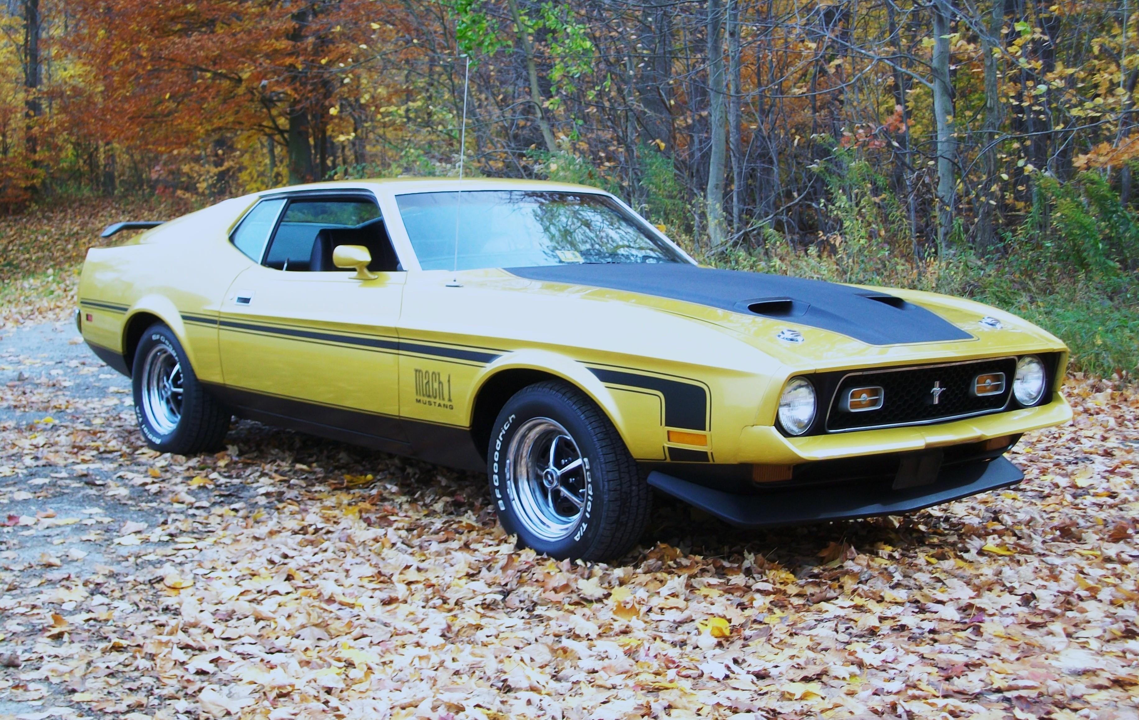 Ford Mustang Mach 1 Wallpapers Wallpaper Cave