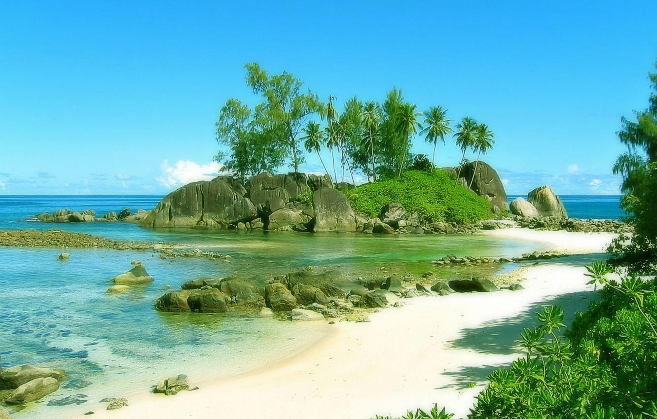 Wallpaper beach, nature, palm trees, shore, Seychelles, exotic