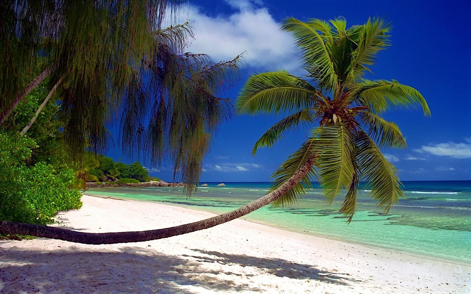 seychelles island sea tropical beach turquoise clouds exotic