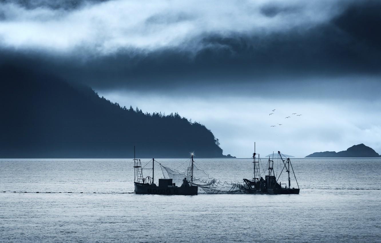 Wallpaper sea, mountains, fishing, cloudy, net, salmon, seagulls