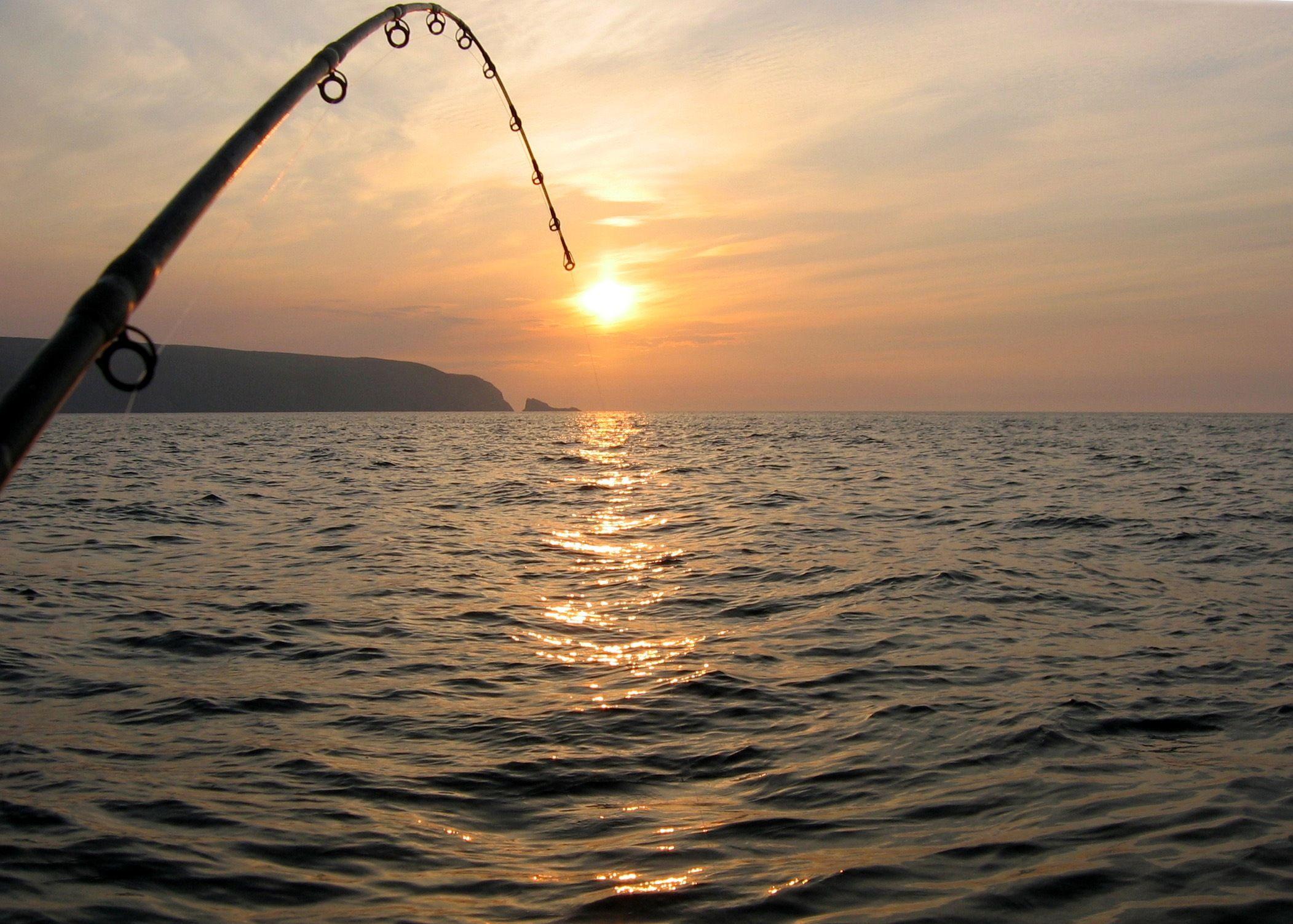 Fishing at dusk wallpaper