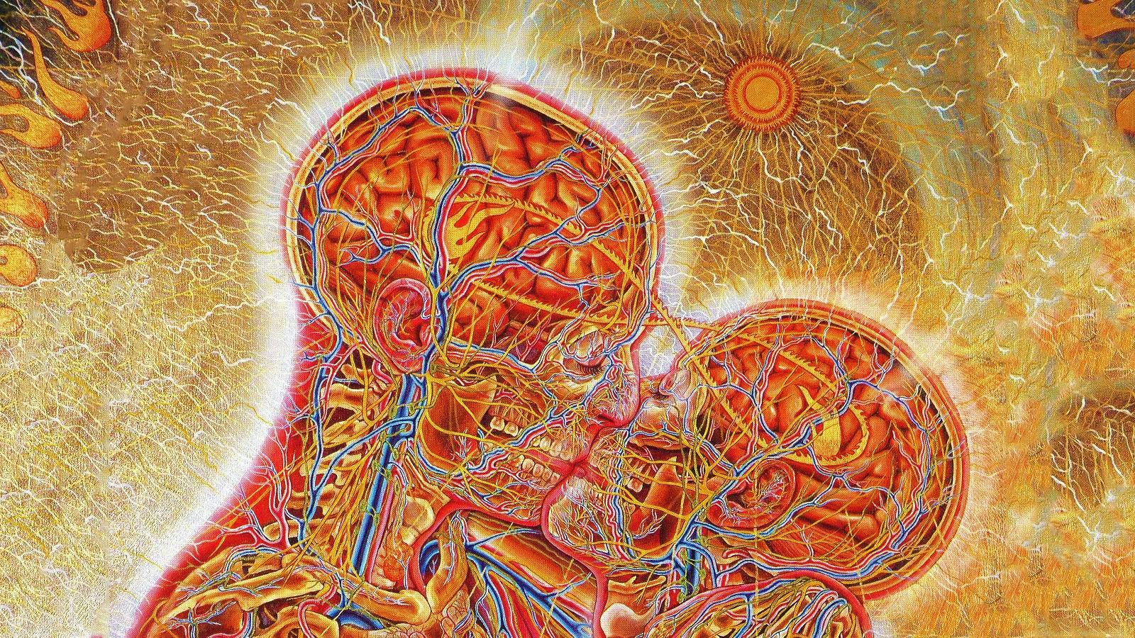 artwork alex grey kissing brains surreal wallpaper