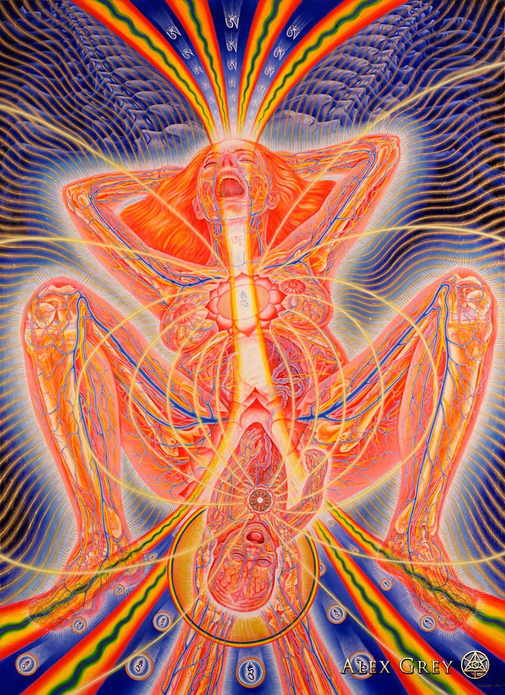 High Quality Album Of Alex Grey Paintings [50 Image]