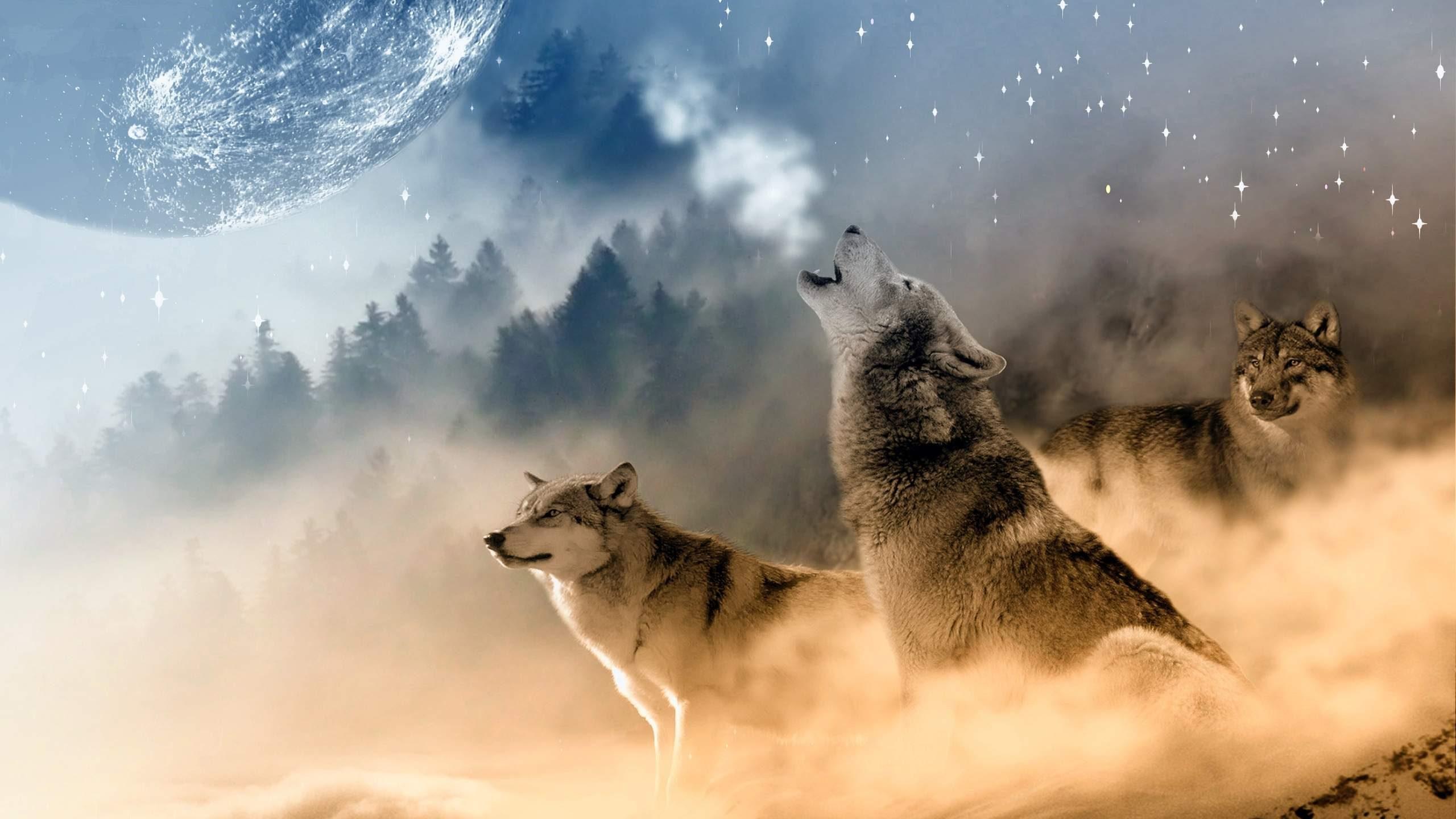 Wolf Howling At The Moon Wallpaper HD Download For Howl