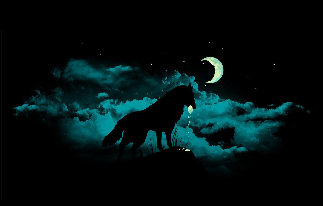 Free download Wolf Moon Wallpaper 10639 HD Wallpaper in Animals